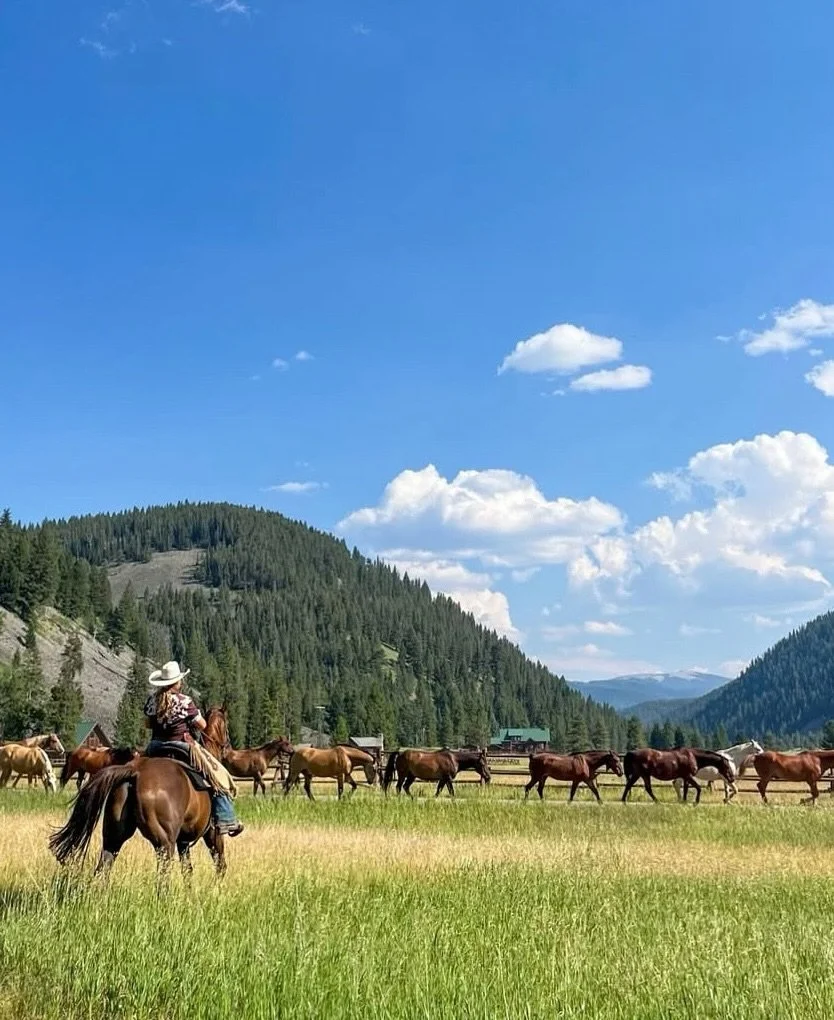 Summer at the ranch is almost here 🐴🌾

Green pastures, horses roaming, trail rides, kids&rsquo; activities, and long days spent outside in the mountains.

Come be part of it.

#320guestranch #montana #bigskycountry #montanasummer #ranchlife