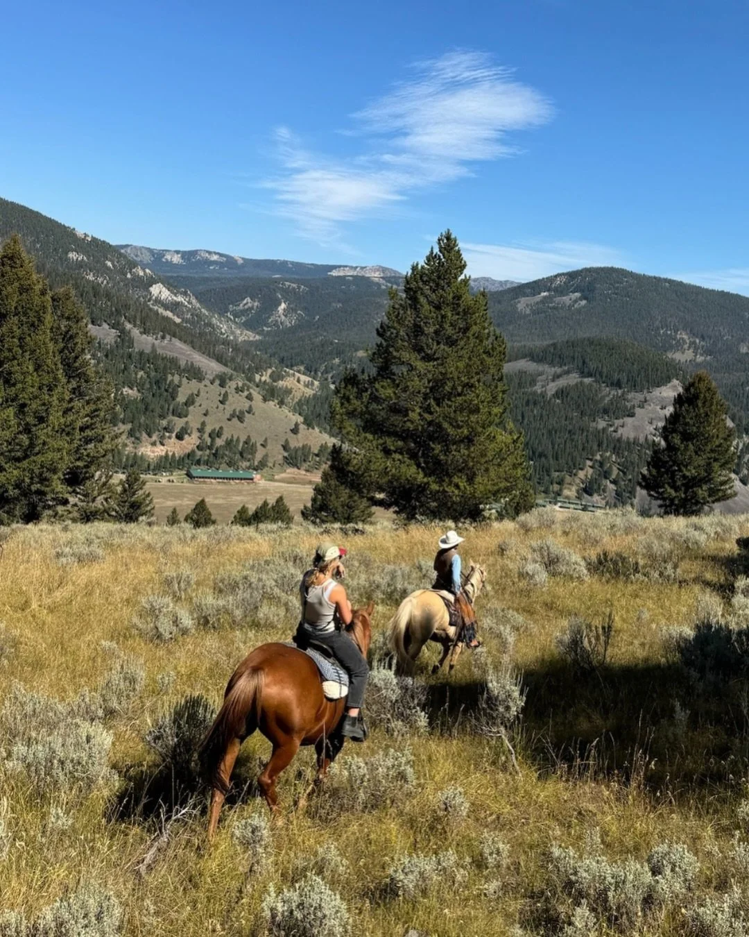 Summer activities at 320 Guest Ranch officially begin this June 🤠

Booking is now open to the public, and you do not need to stay at the ranch to join the fun! 

Activity start dates:
&bull; June 1: Fly Fishing Lessons
&bull; June 15: Trail Rides
&b