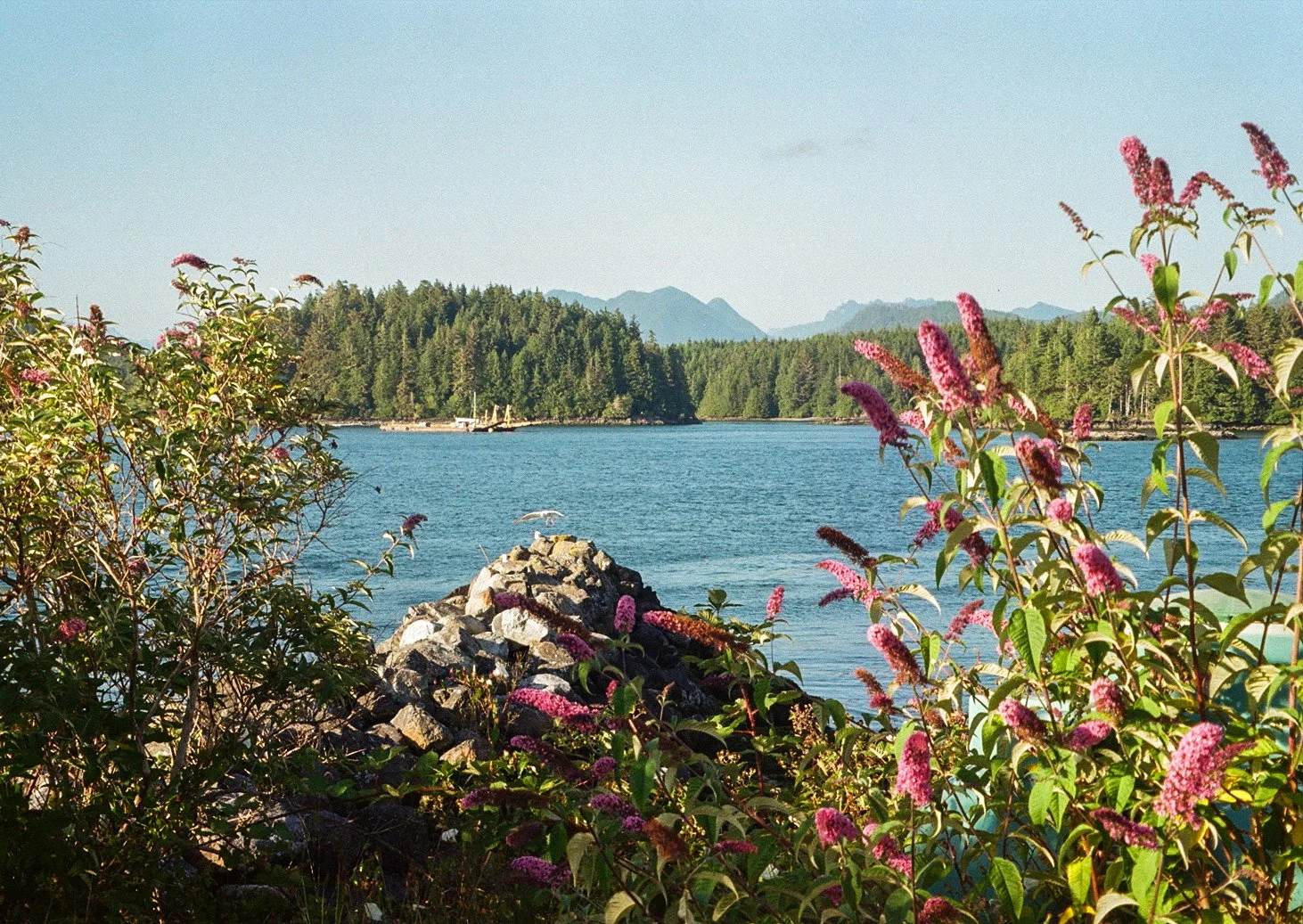 IMG_3571.JPG