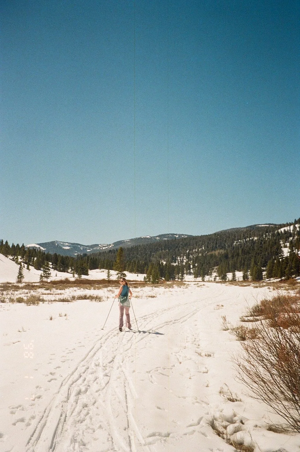 IMG_9732 2.JPG