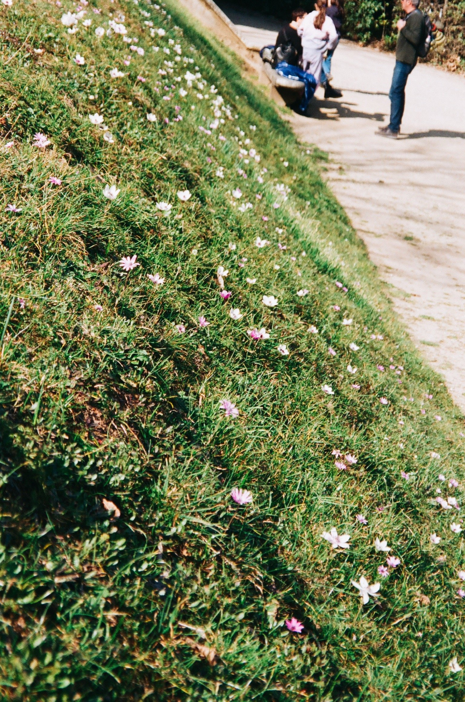 E2EE6599-2605-4643-ACFF-A524DE639659.JPG