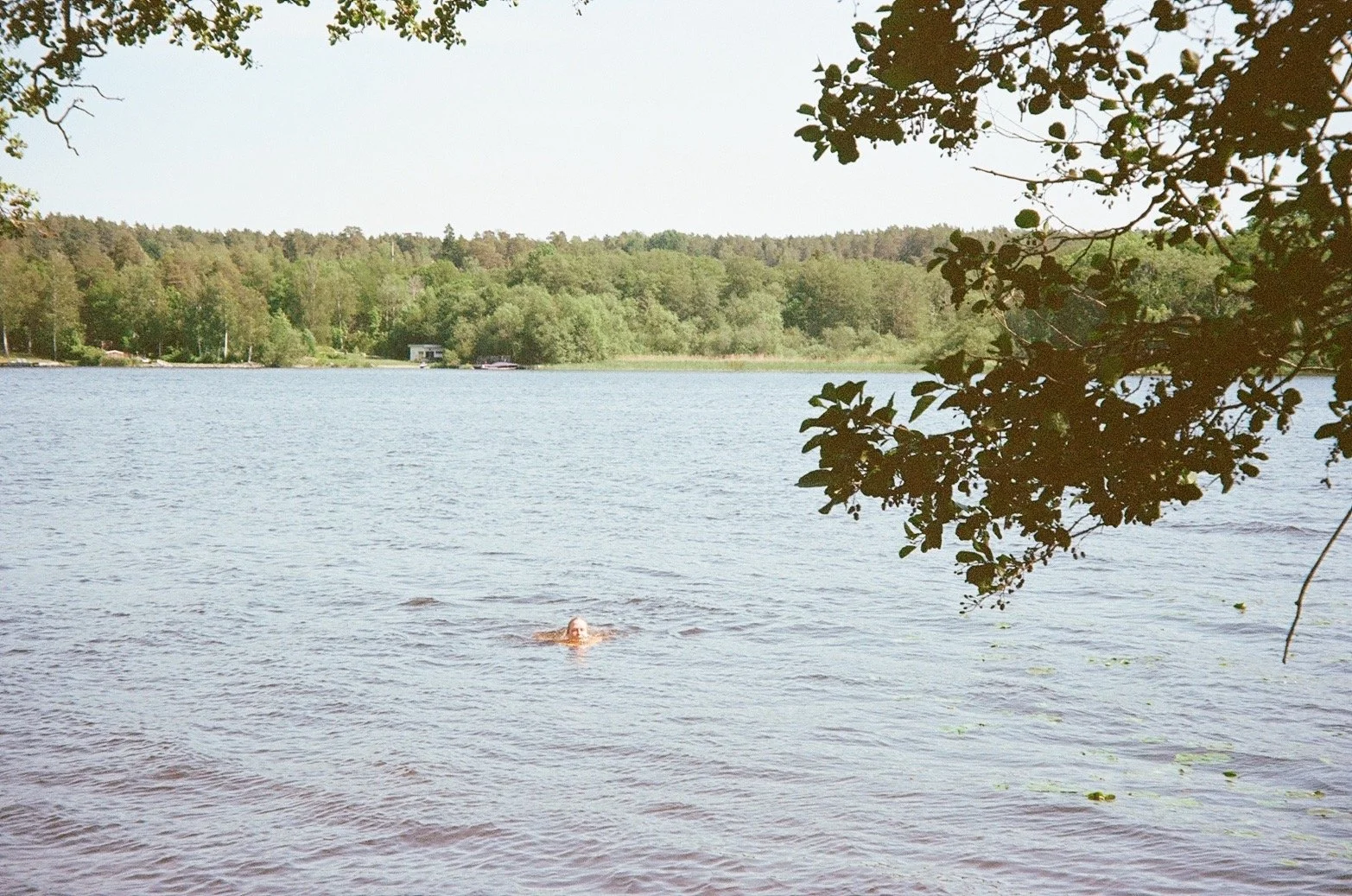 IMG_7967_VSCO.JPG