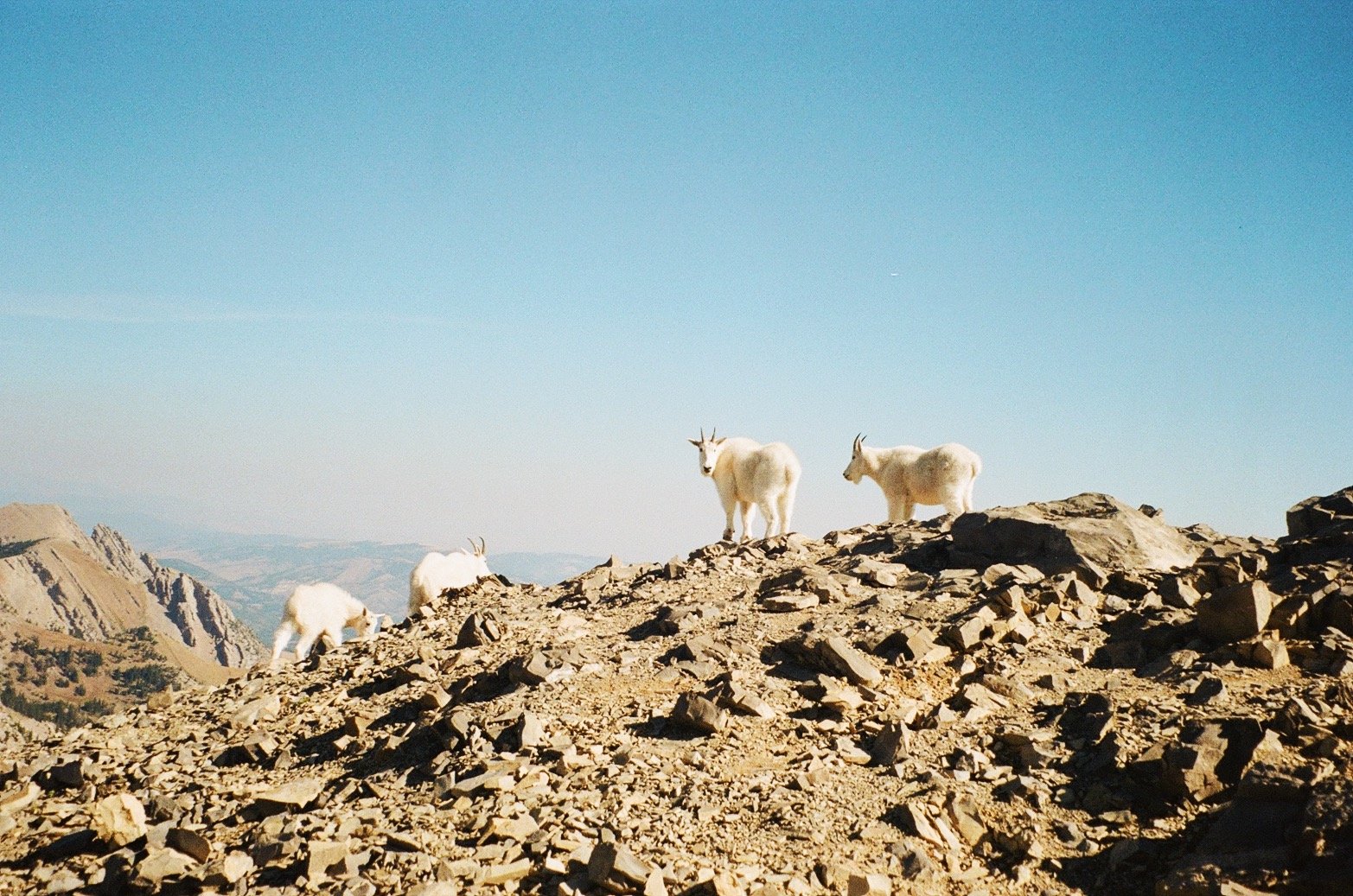 IMG_3267_VSCO 2.JPG