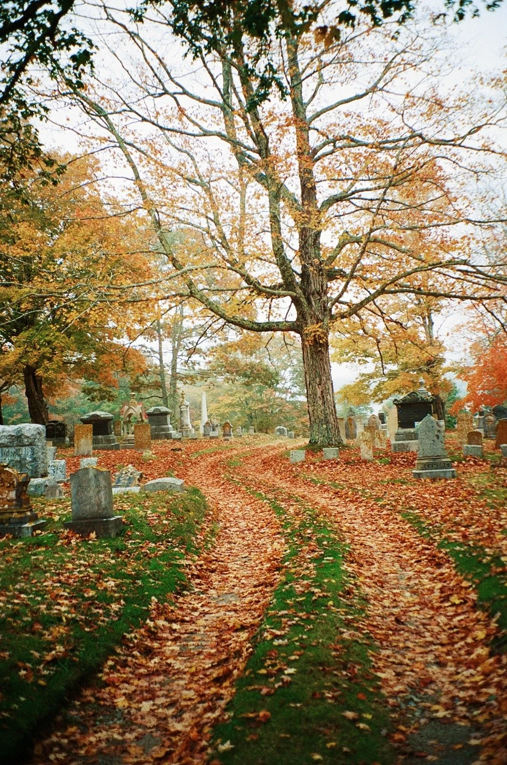 D4E5D981-7A0C-46E6-B009-7946995F4EC5.JPG