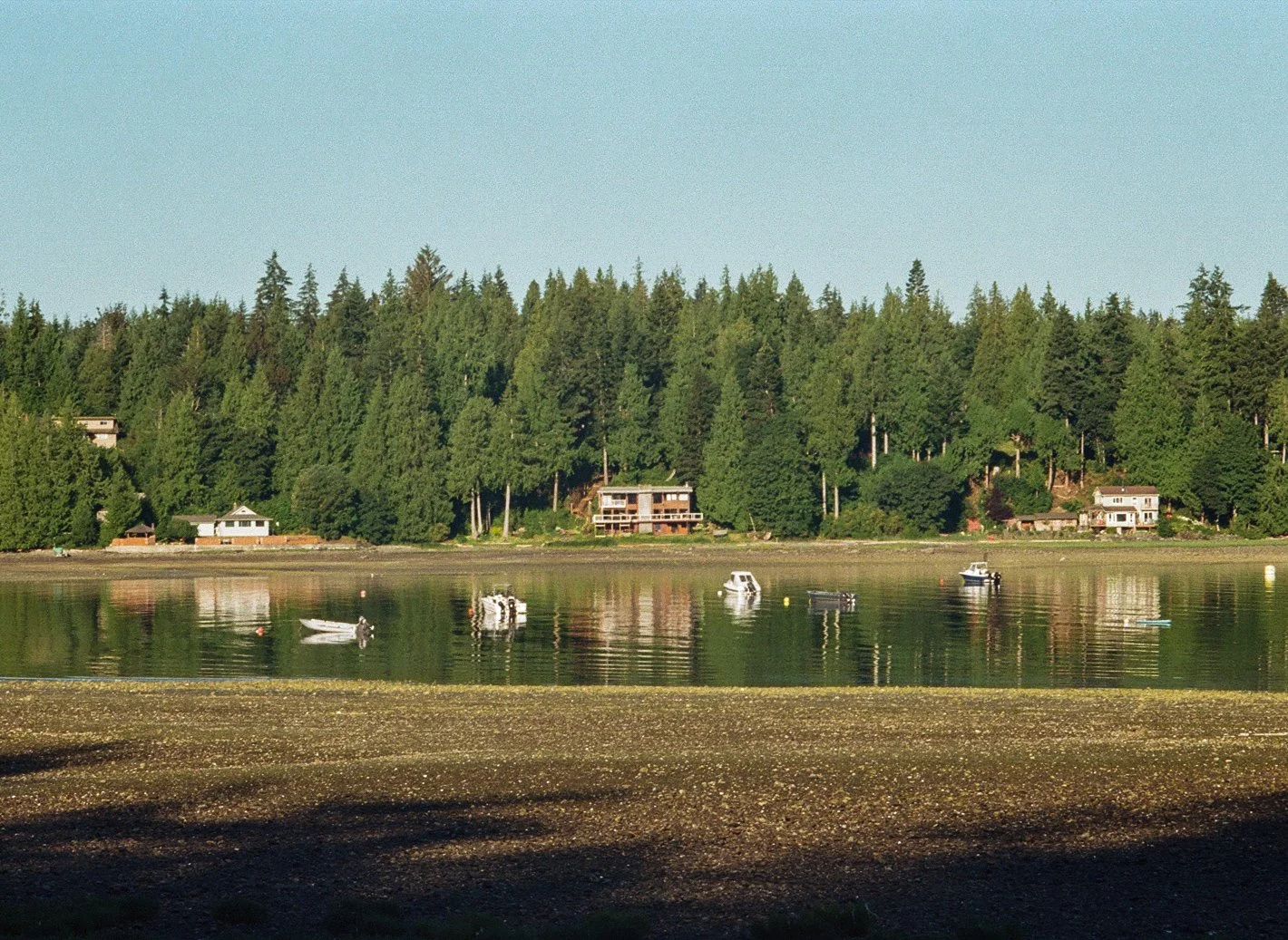 IMG_3584.JPG
