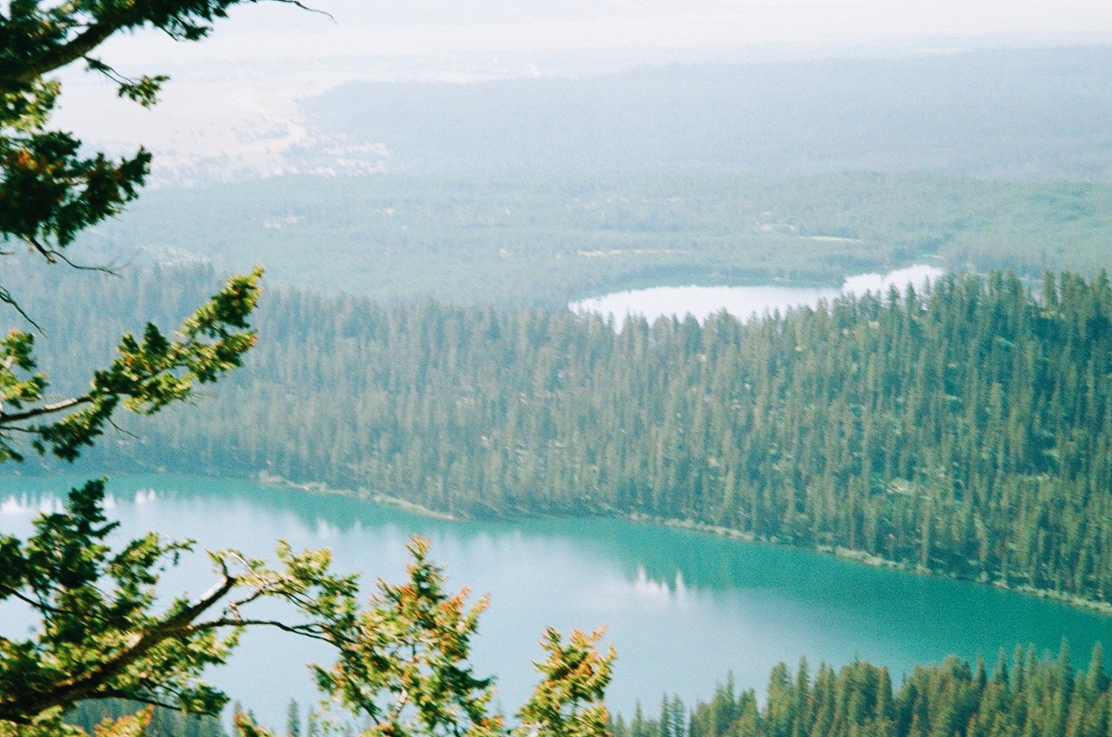 A4F02C2E-025C-4E67-A40F-2B9F951B1B48.JPG