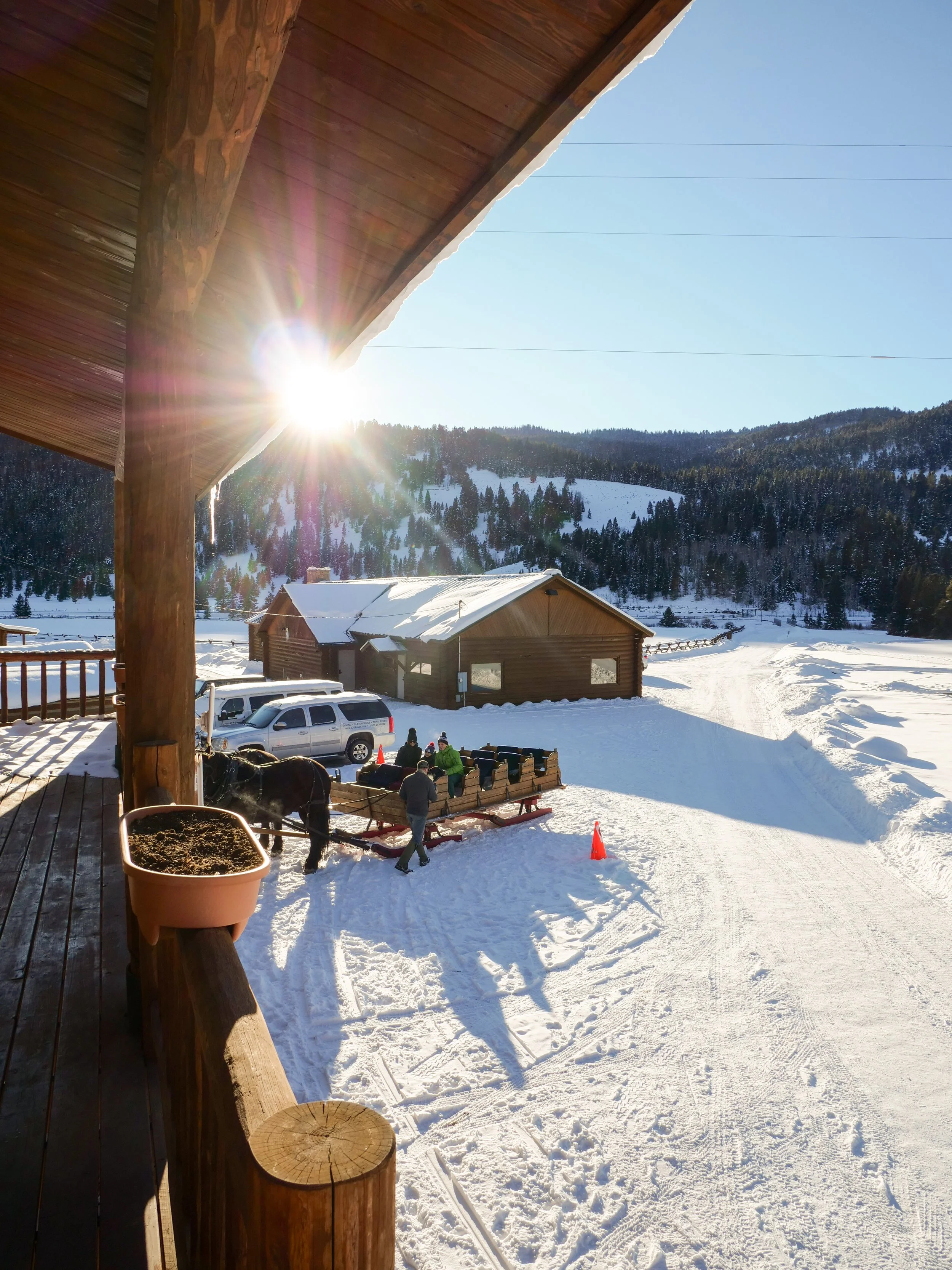 Sleigh Arrival
