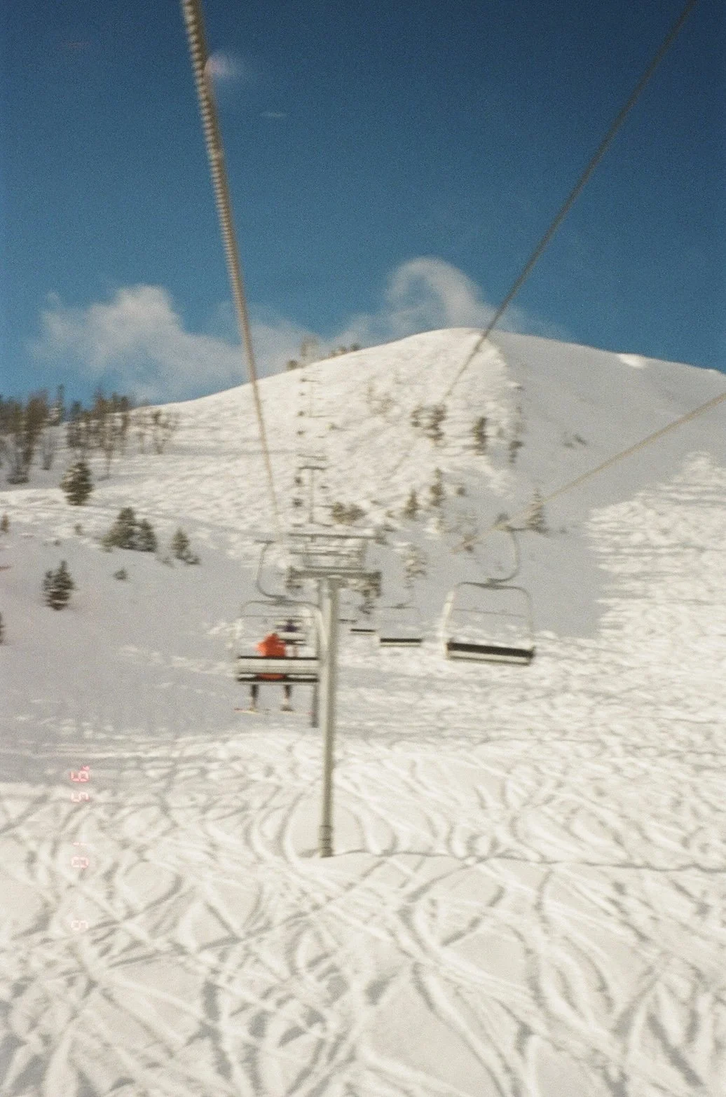 IMG_0164 2.jpg