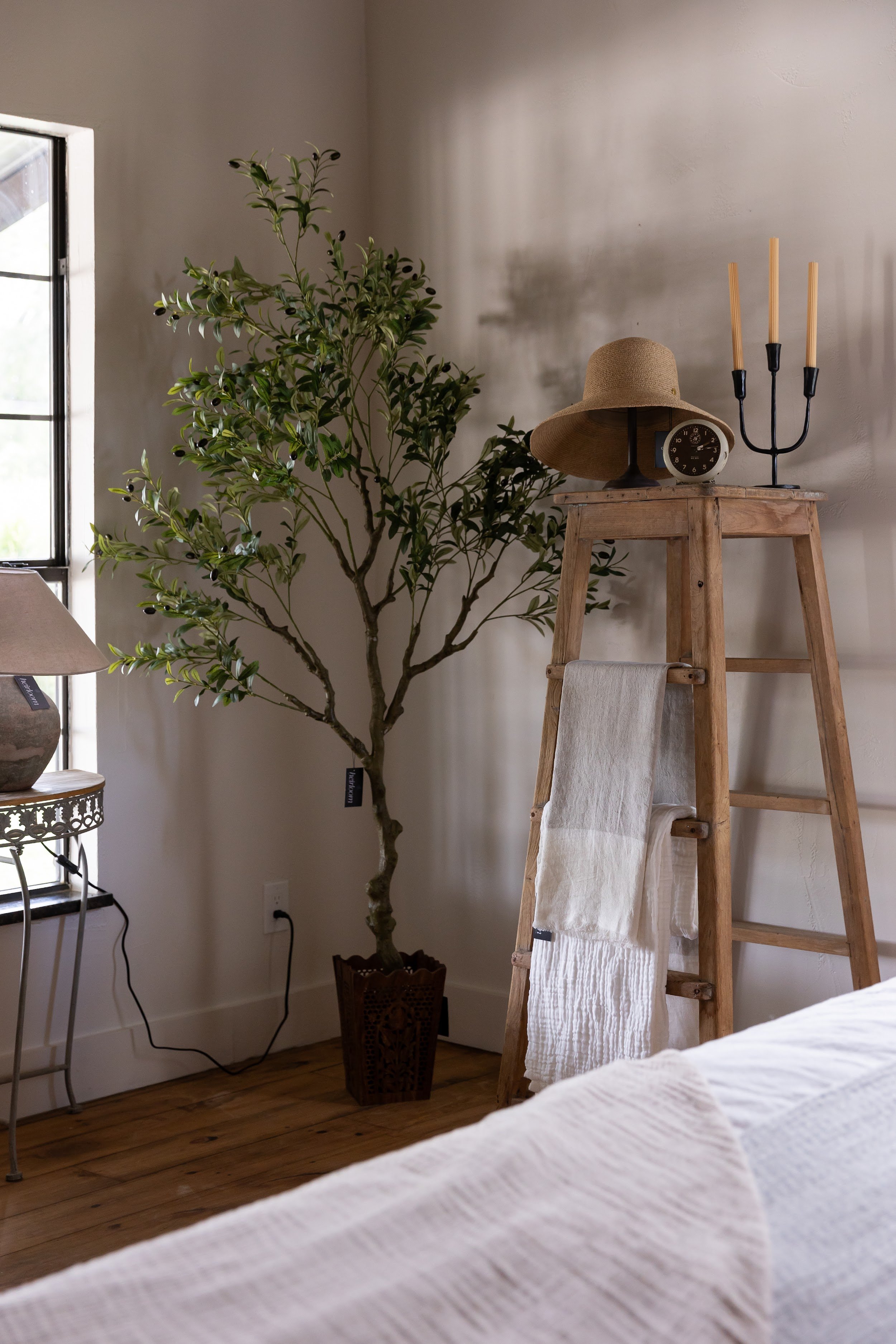 heirloom-avenue-n-olive-tree-display-marble-falls-tx.jpg