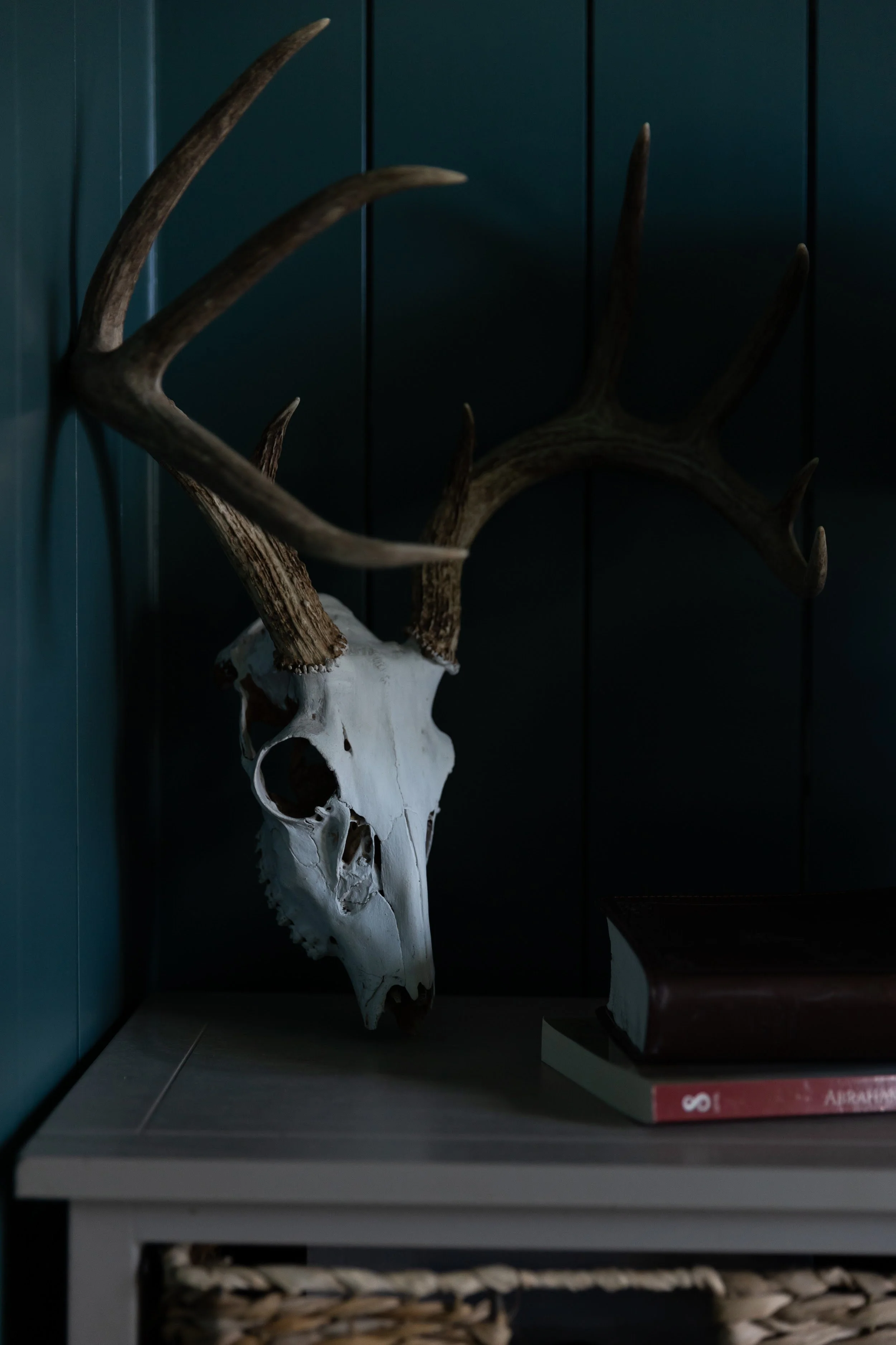 blackbuck-ridge-antler-detail-lampasas-tx.jpg