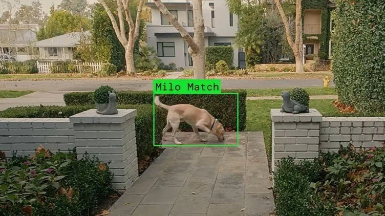 Smart Entrances at a Crossroads: Safety, Surveillance, and Trust