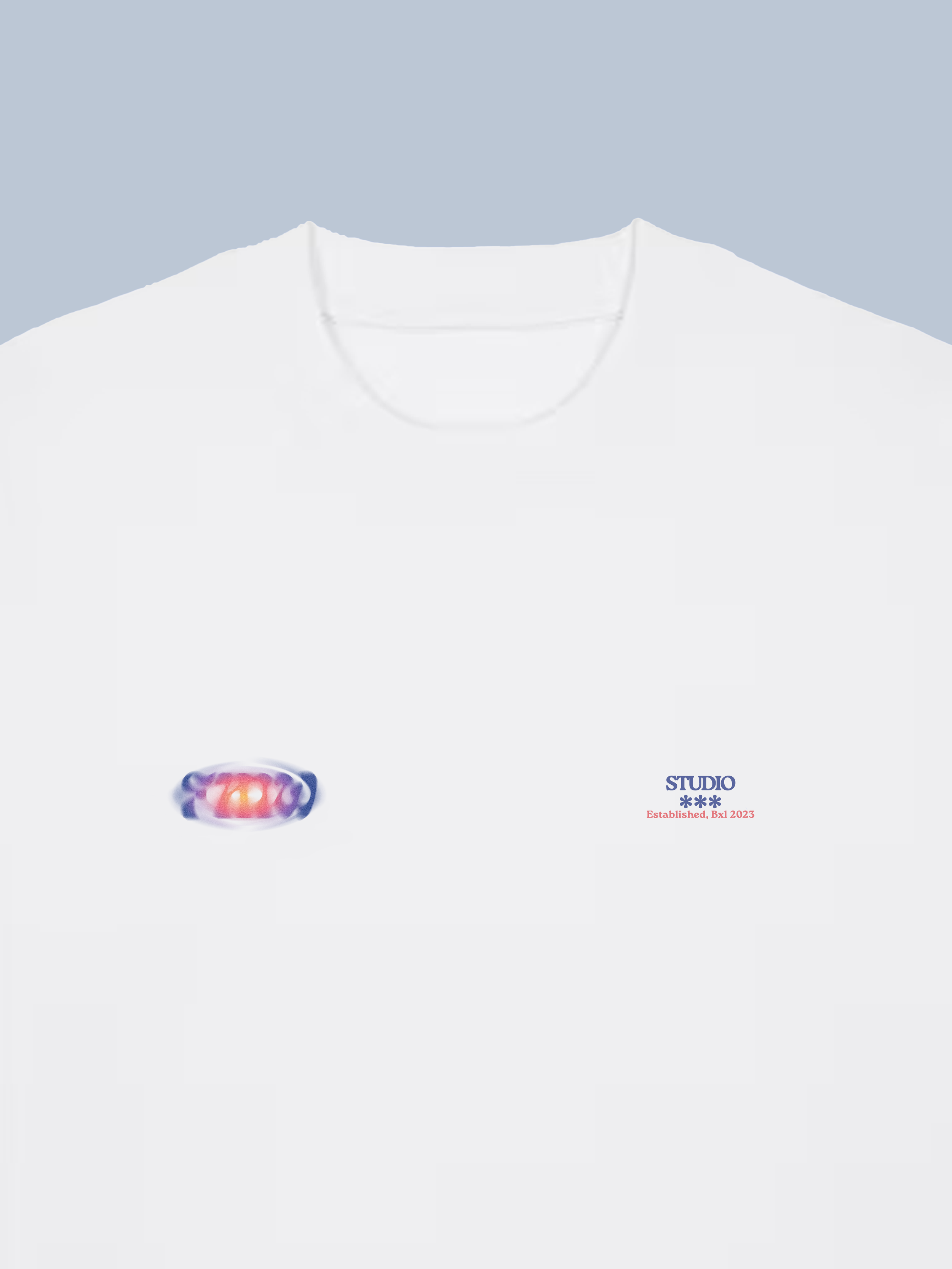 SiteZoomAvantTeeFlou.png