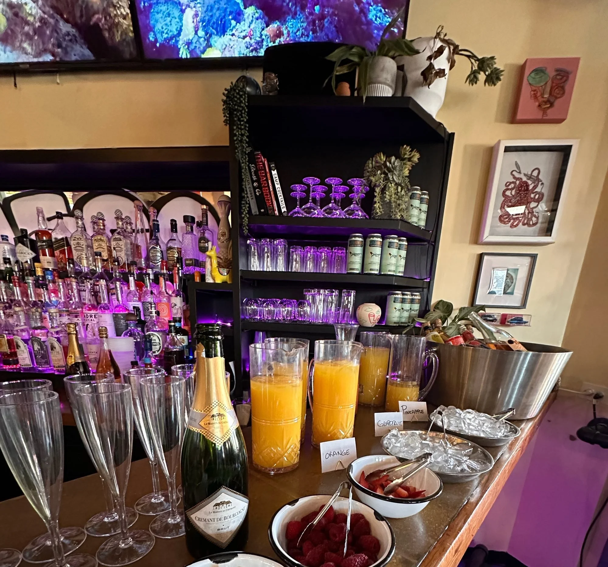 45-diego-brunch-mimosa.jpg