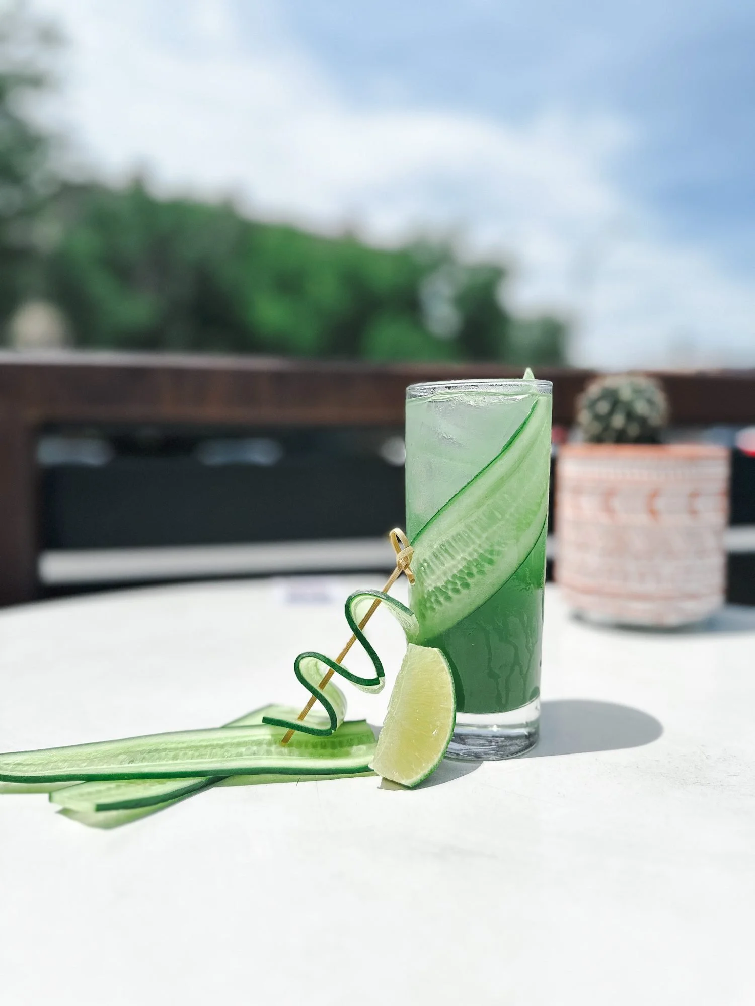 92-diego-cucumber-cocktail.jpg