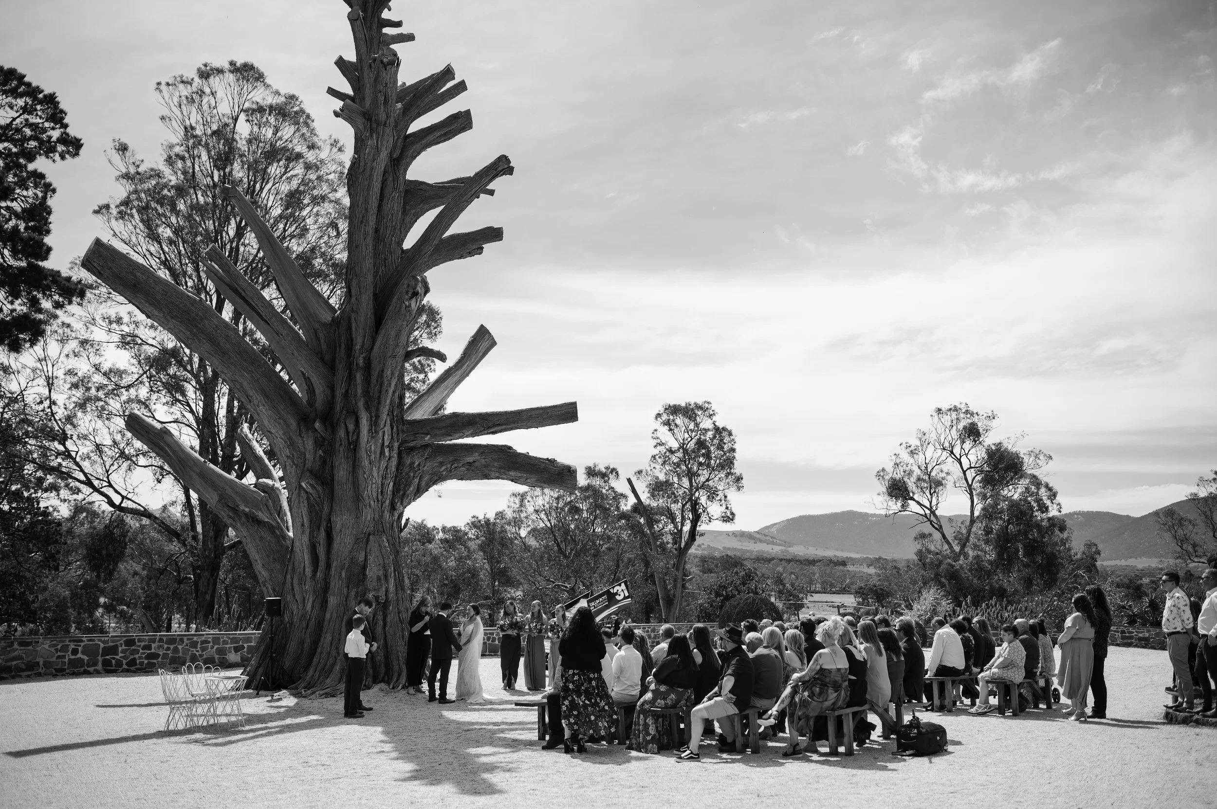 BALLARAT WEDDING PHOTOGRAPHER13.jpg