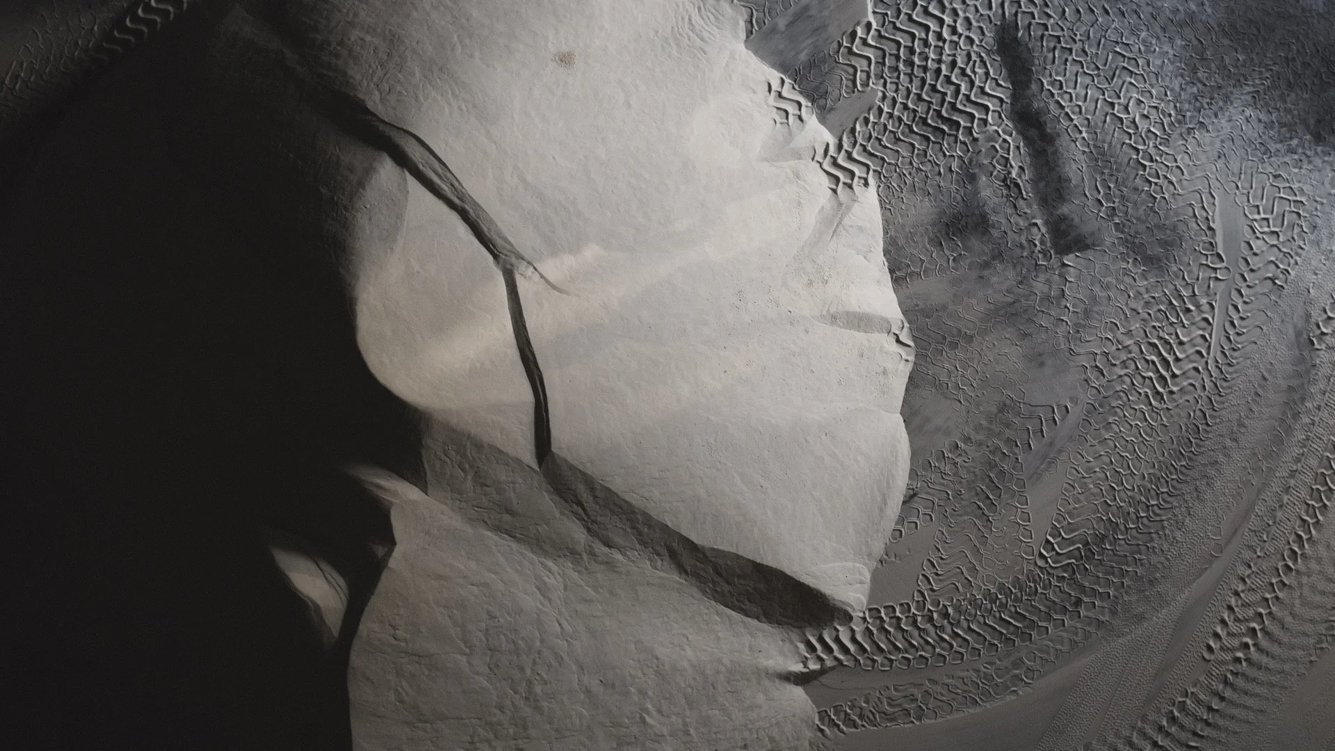 MT Website Header.jpg