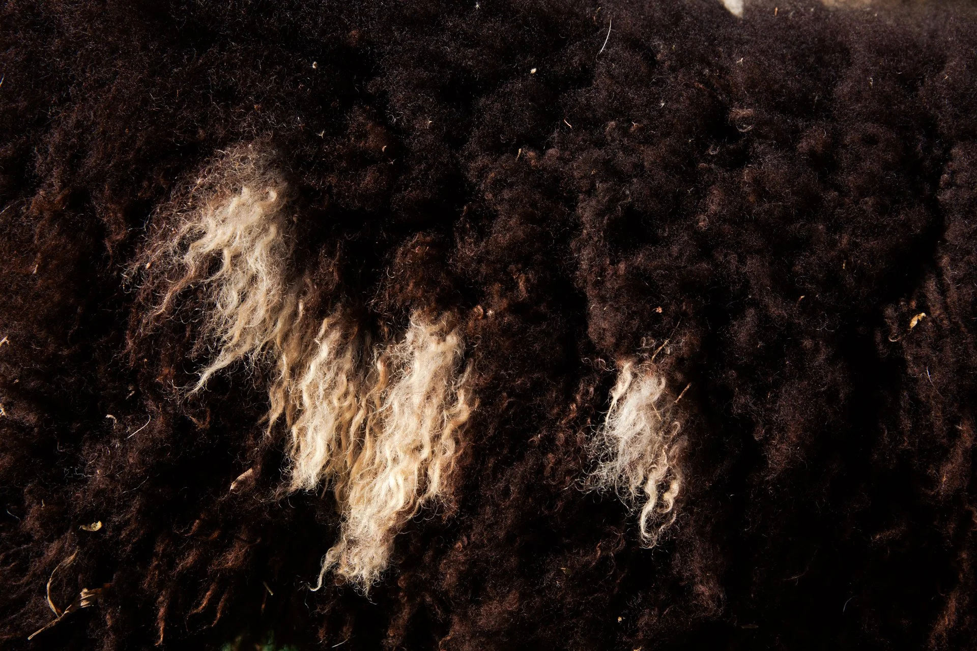 Come and See Farm web-118.jpg