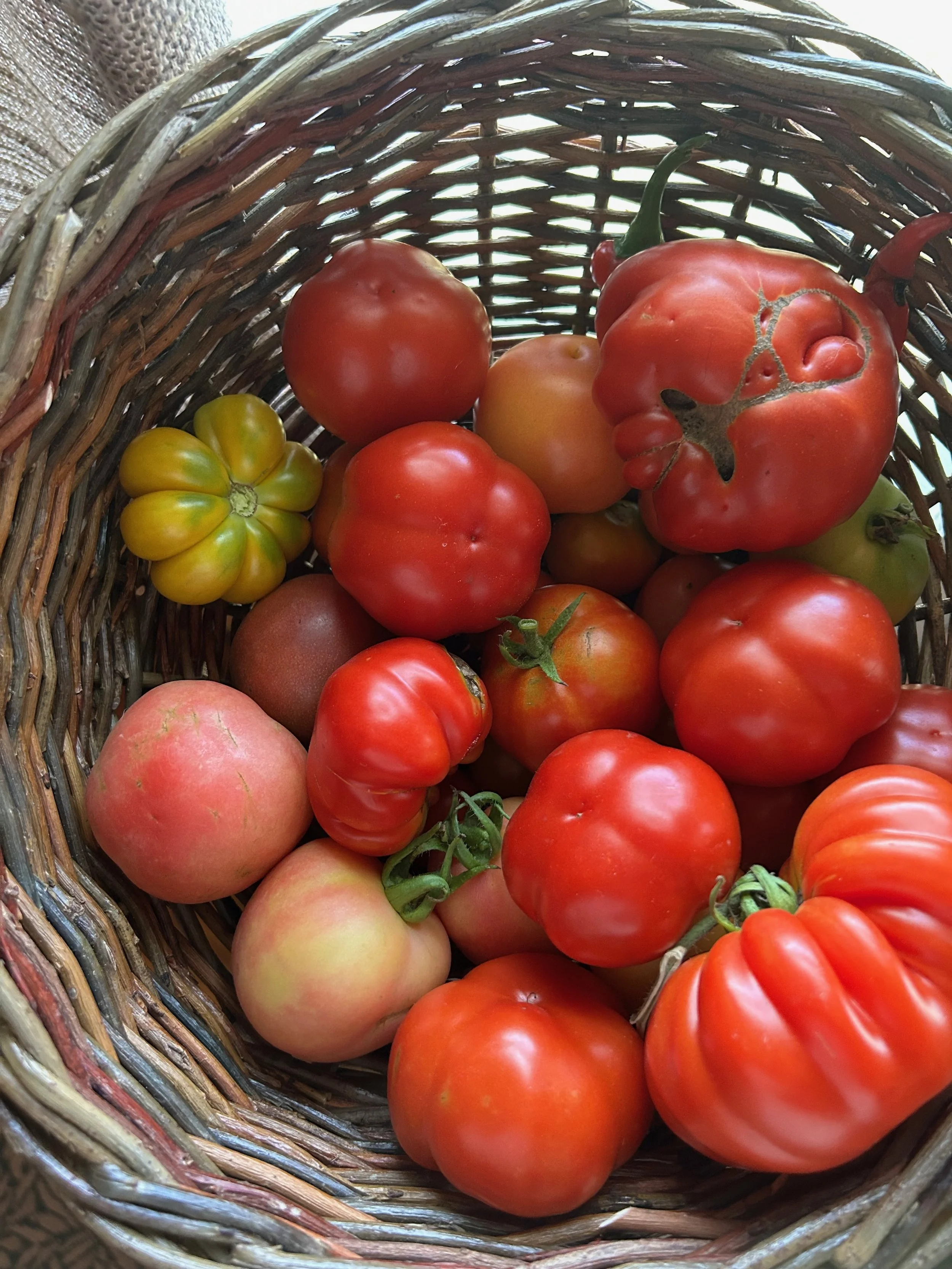 sturgeon moon pickles, preserves, provisions club