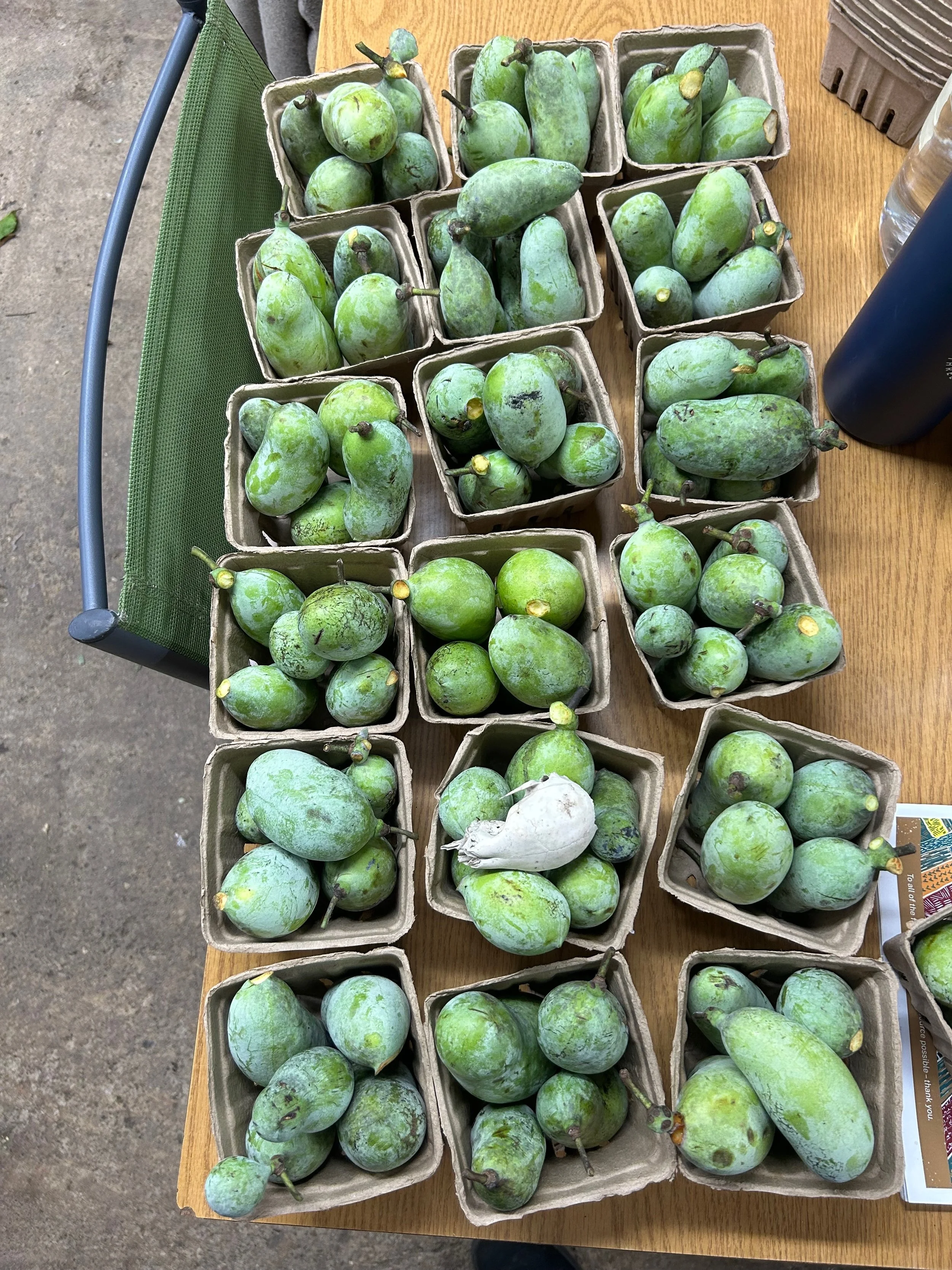 corn moon pickles, preserves, provisions club