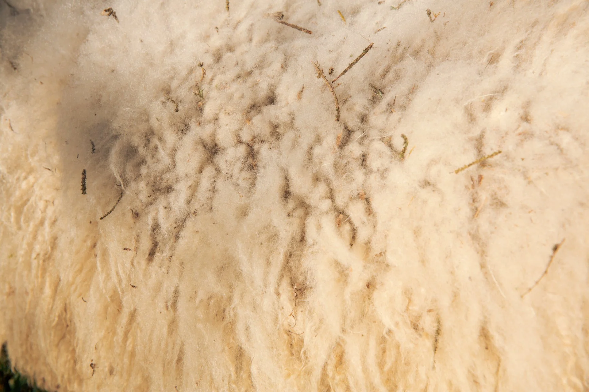 Come and See Farm web-116.jpg