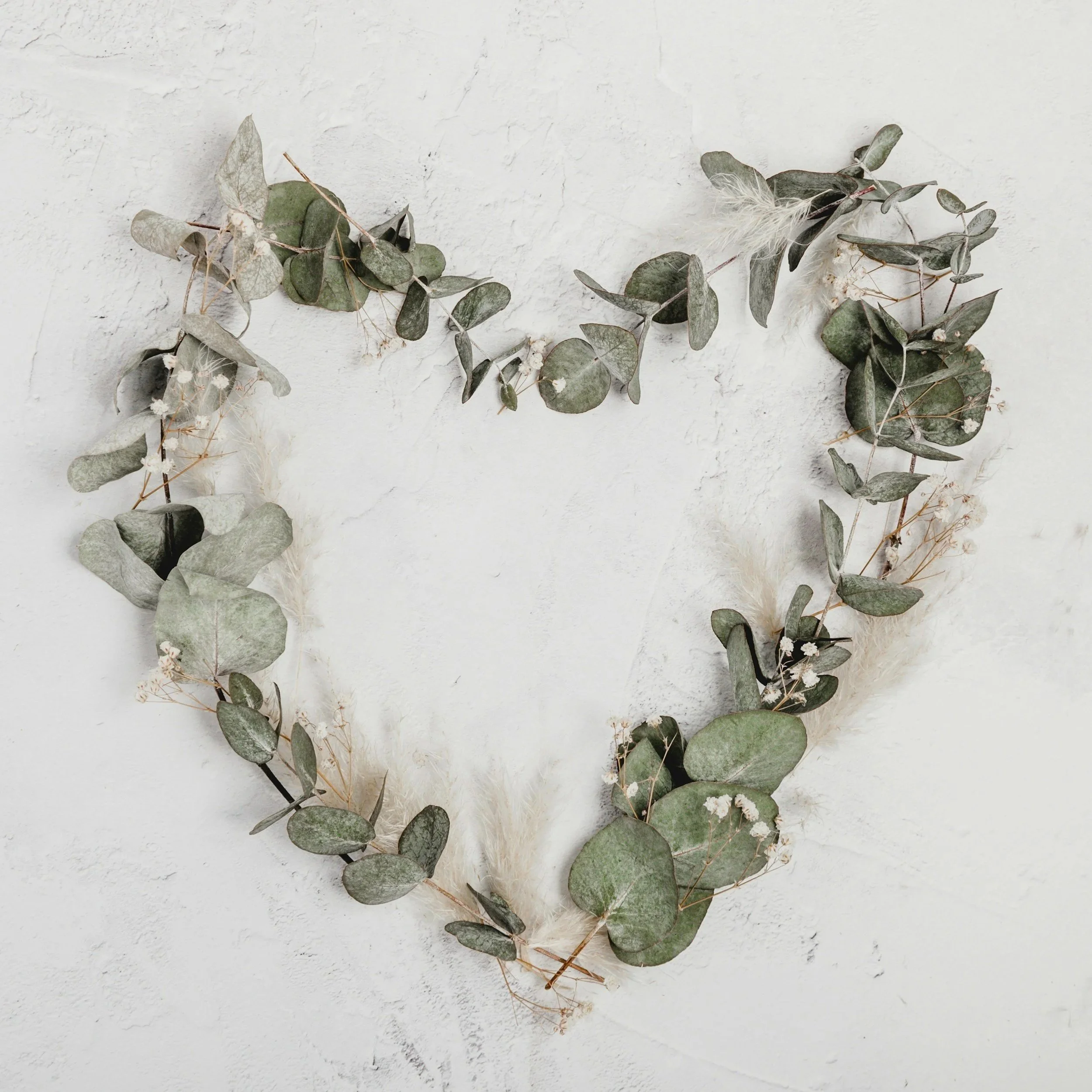 Eucalyptus leaves and small white flowers arranged on a white textured wall.