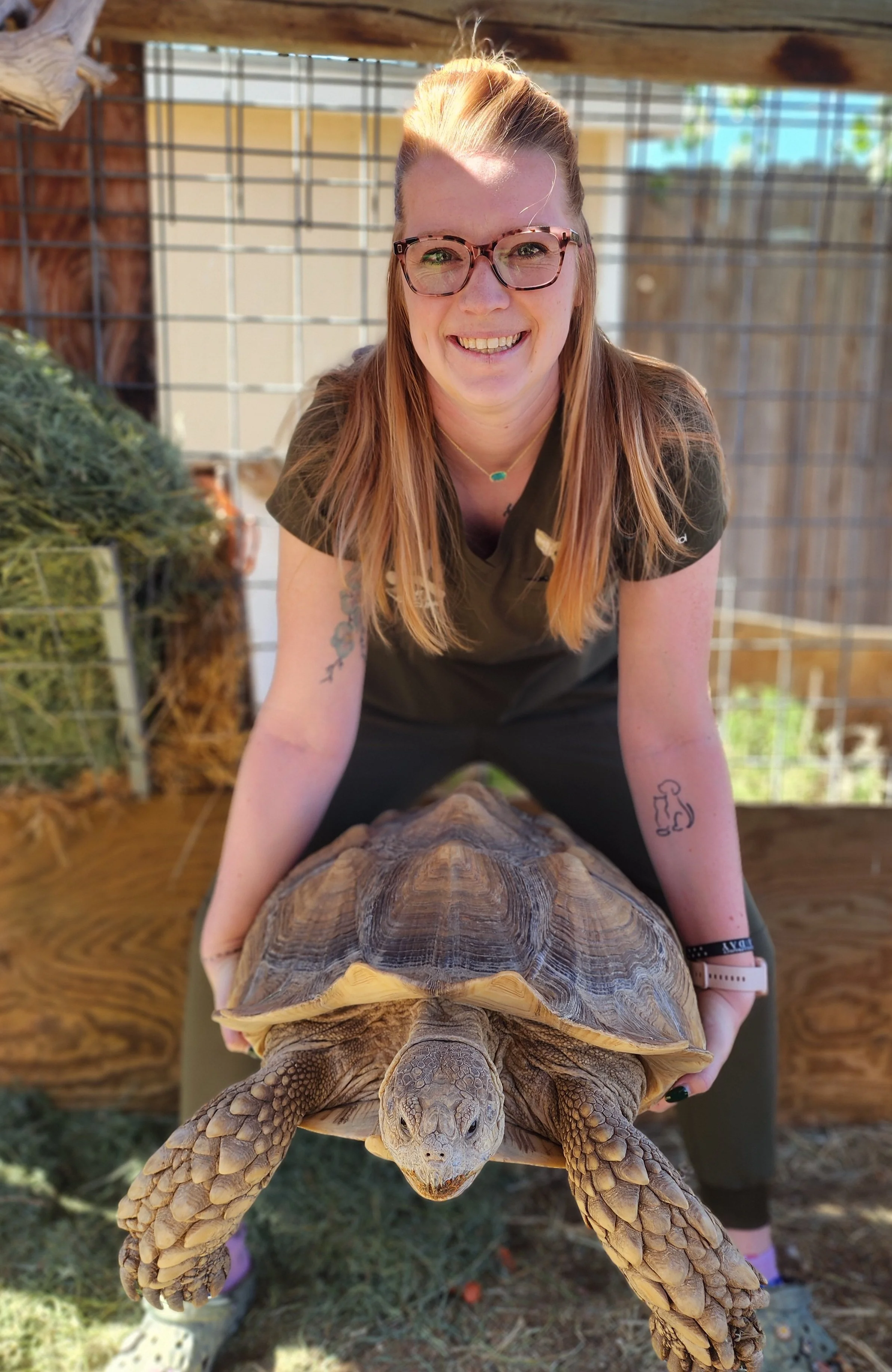 Savannah, RVT/CVT at Pawlyclinic, smiling while holding a large tortoise — providing expert veterinary technician support for pets of all kinds in Denver