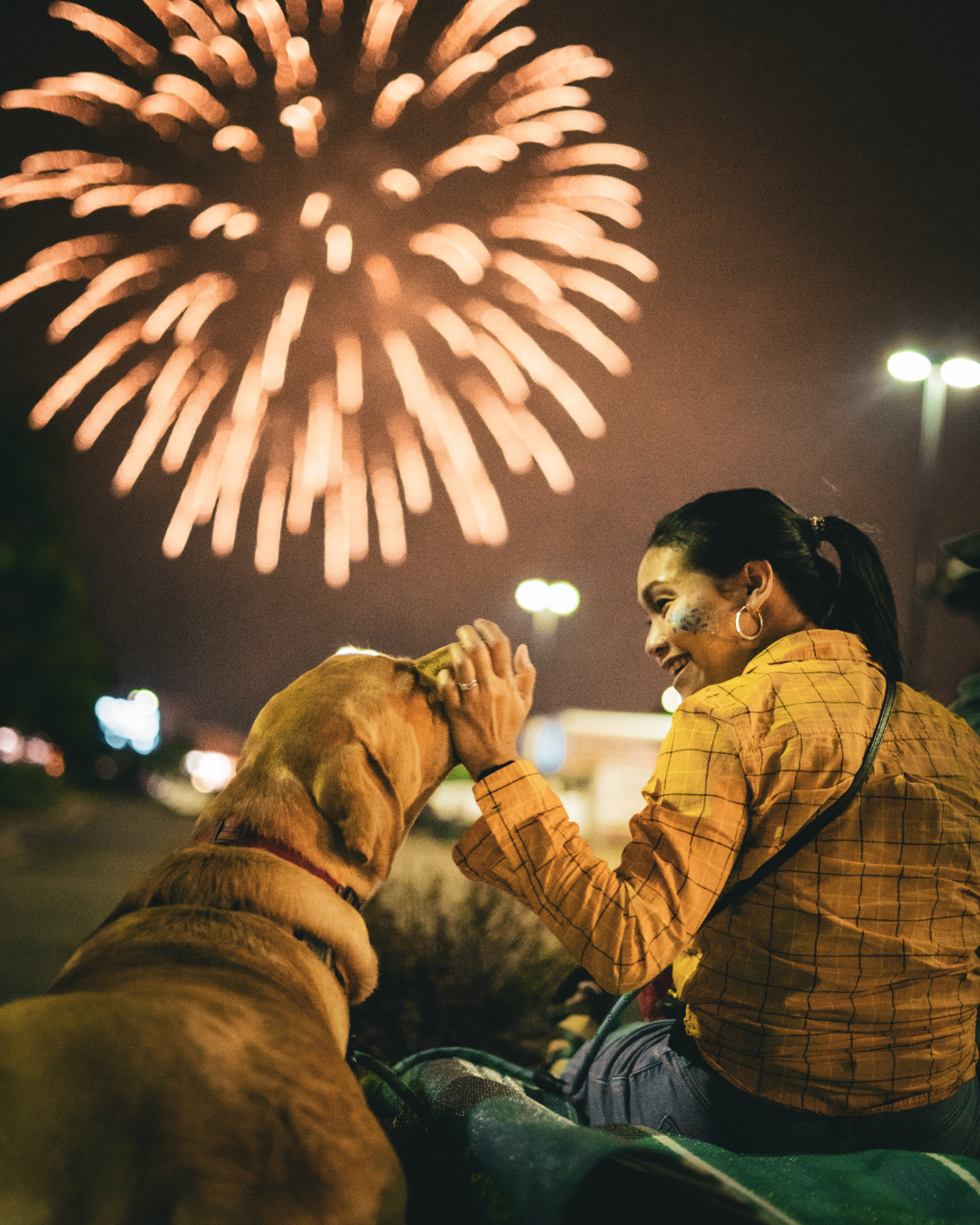 Fireworks in Denver: How to Prepare Your Pet Before July 4th