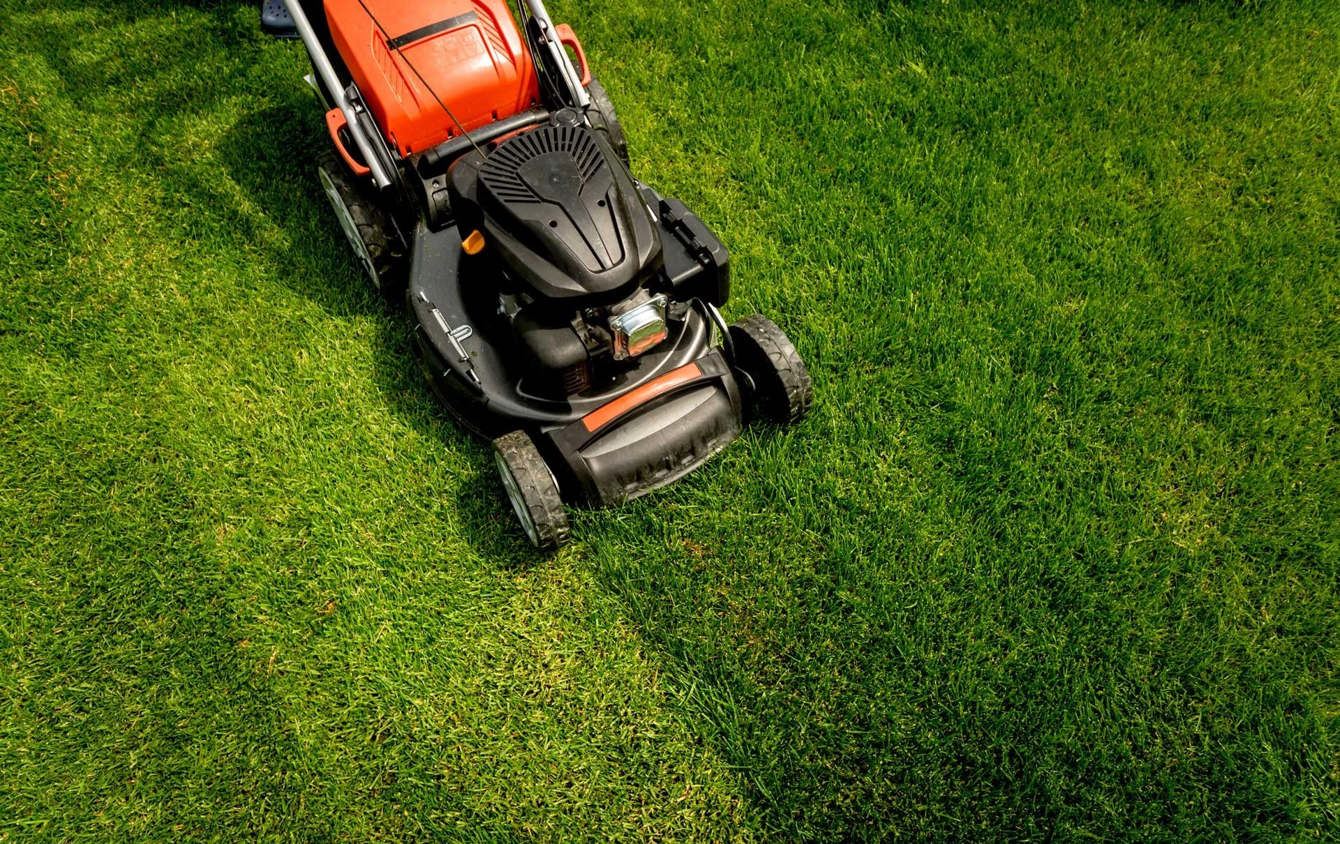 Close-up of a lawn mower on freshly cut grass