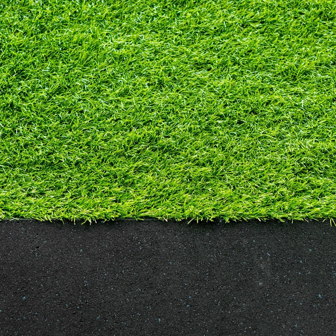 Close-up of green grass next to black asphalt pavement.