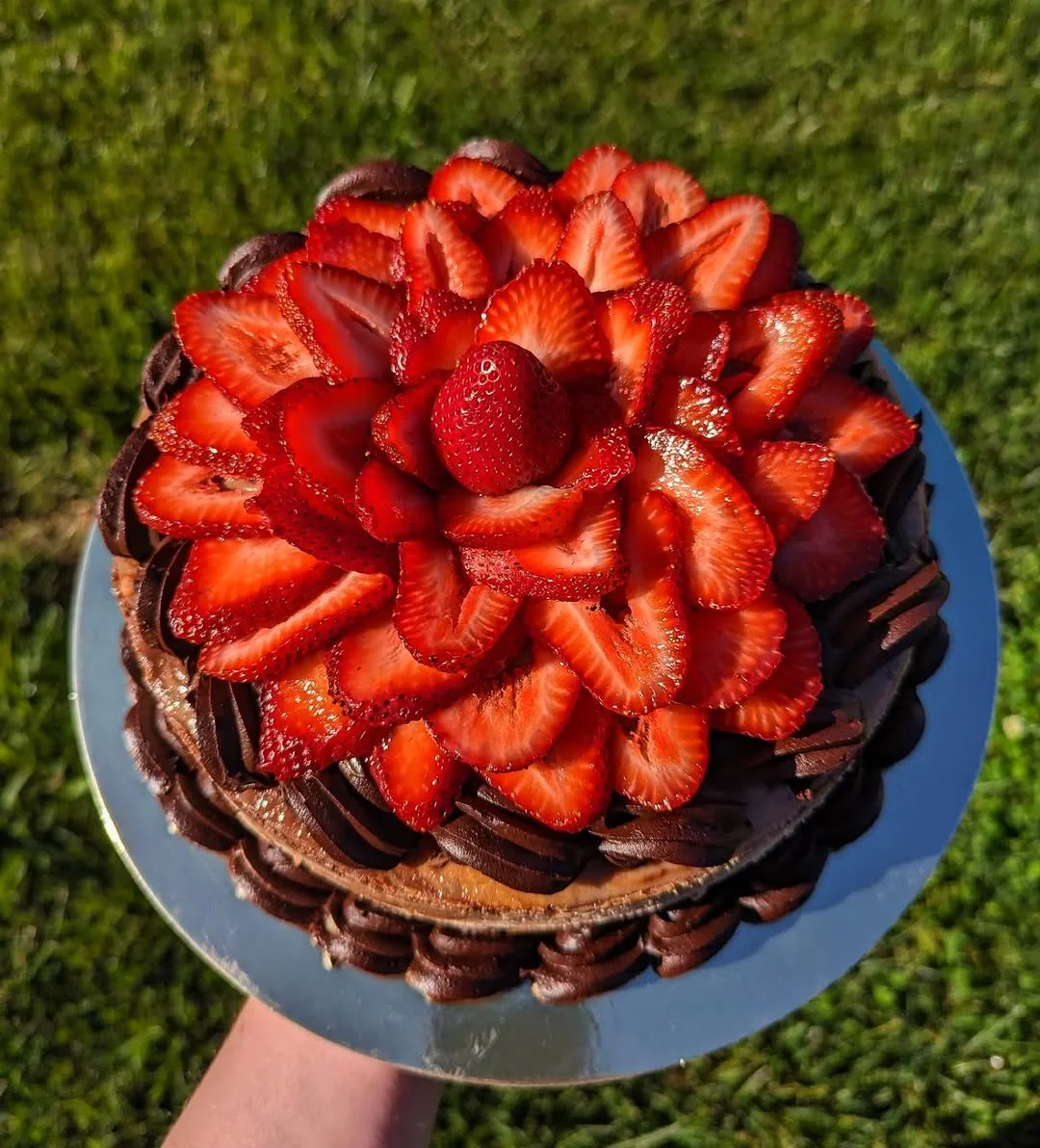 A round cake topped with halved and whole strawberries, decorated with chocolate drizzle, held against a grassy background.