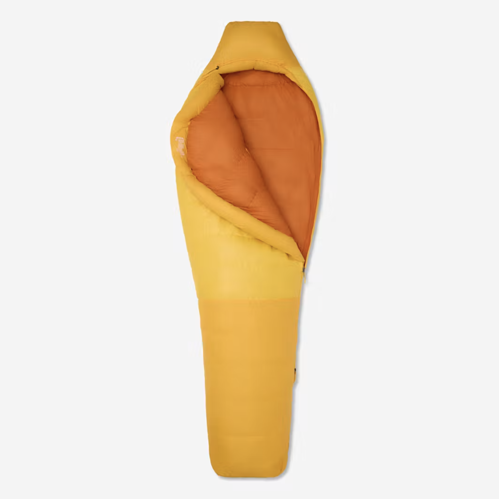 12.4 Marmot SB Shiny.png