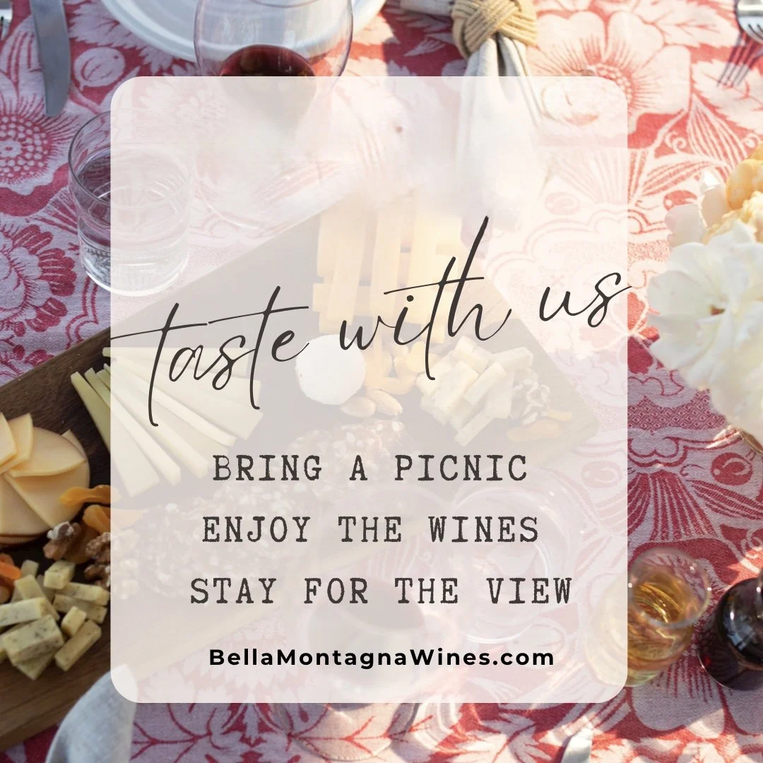 A table with wines and cheese