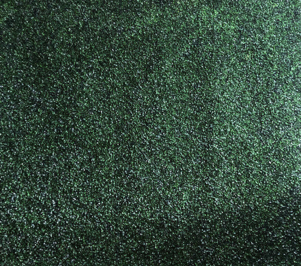 Close-up of a textured green surface with small glittering particles.