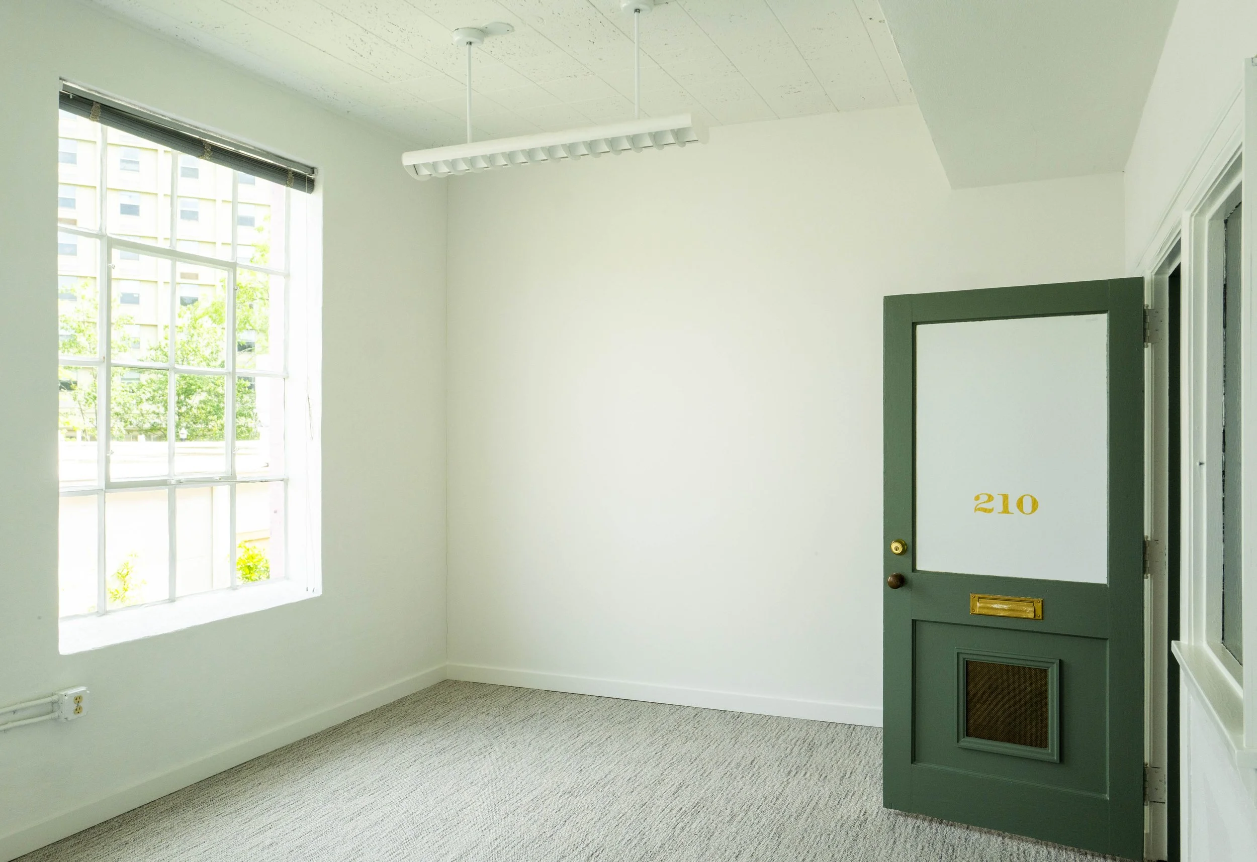 Empty room with a large window, white walls, a carpeted floor, and a green door labeled 210.