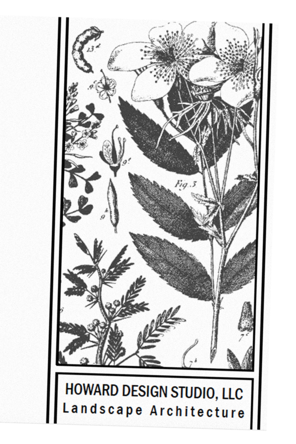 Black and white illustration of various plant species and flowers, labeled with scientific figures, with a business card at the bottom reading "Howard Design Studio, LLC Landscape Architecture."