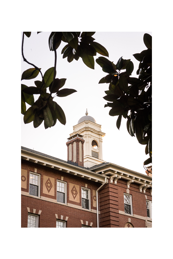 View of a historic brick building with a clock tower, framed by tree branches and leaves in the foreground, during daytime.