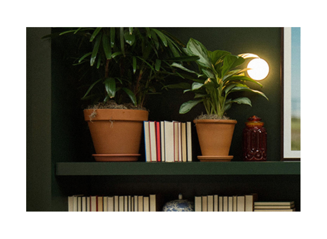 Two potted indoor plants, a lamp, books, and a framed picture on a dark wall shelf.