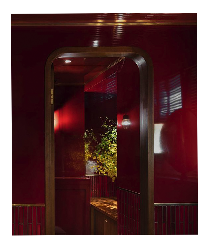 View through a wooden arched doorway into a room with dark red walls, a wooden countertop, a hanging light bulb, and a plant with green leaves outside the window.