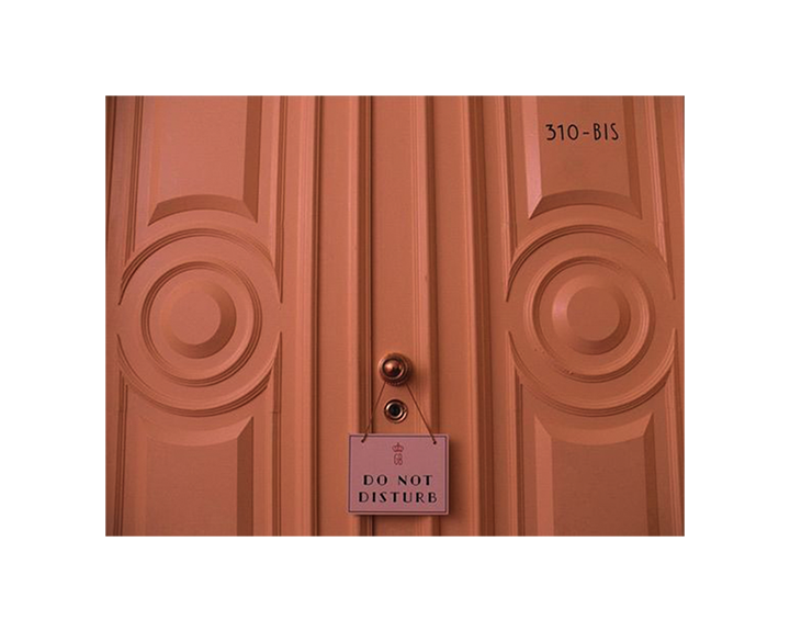 Pink door with geometric patterns, a peephole, and a sign that reads 'Do Not Disturb' with room number 310-BIS.