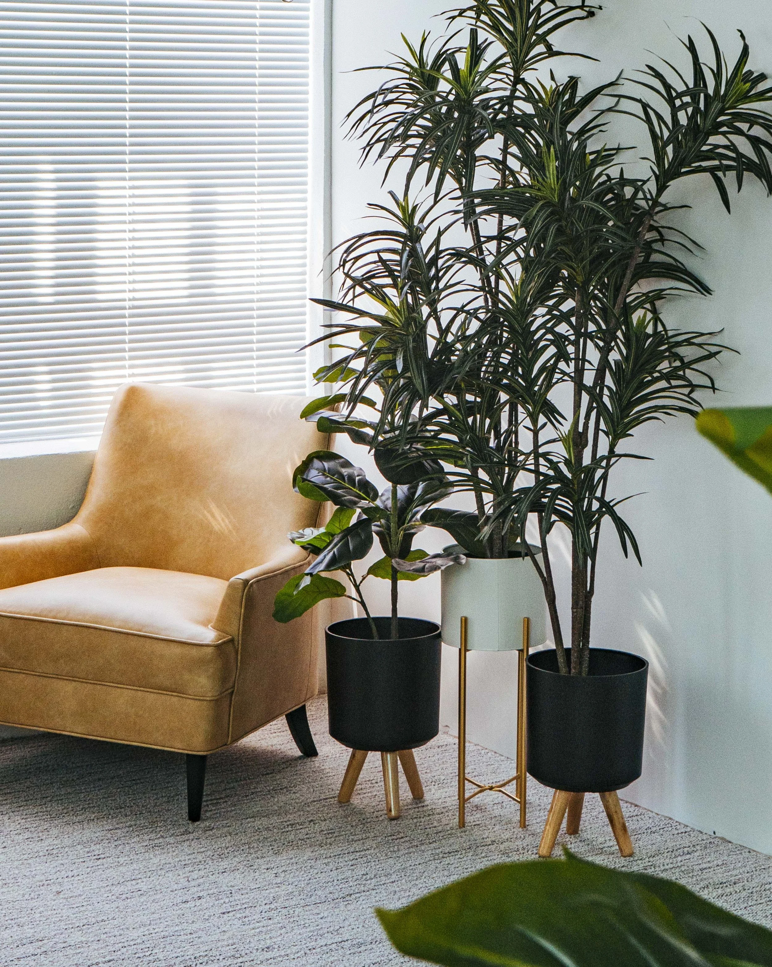 Living room corner with a tan armchair, large potted plants, window with closed blinds, and a beige carpet.
