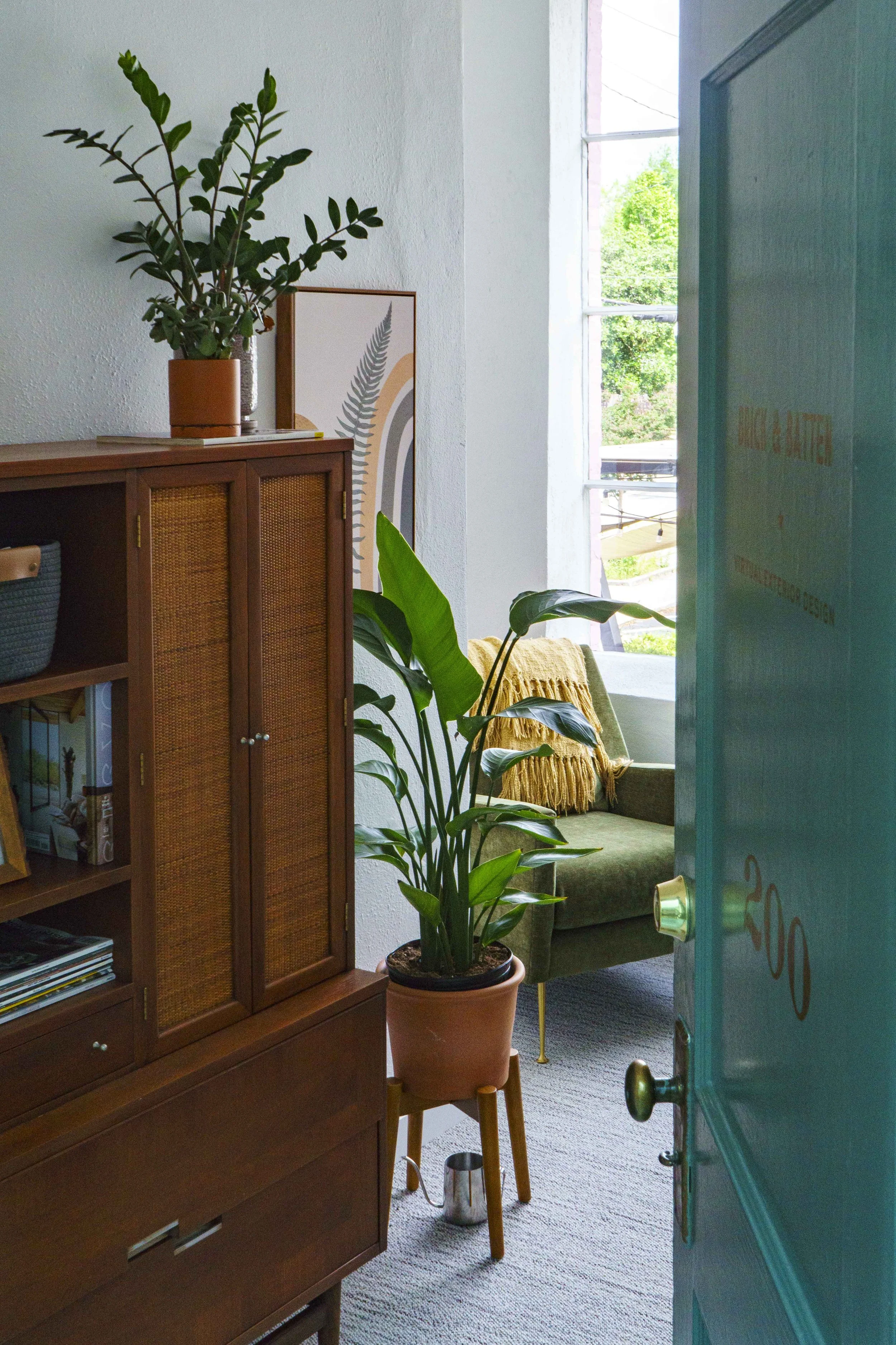 Green plants, a wooden bookcase, and a green armchair with a yellow throw blanket are inside a room with an open door and large window showing greenery outside.