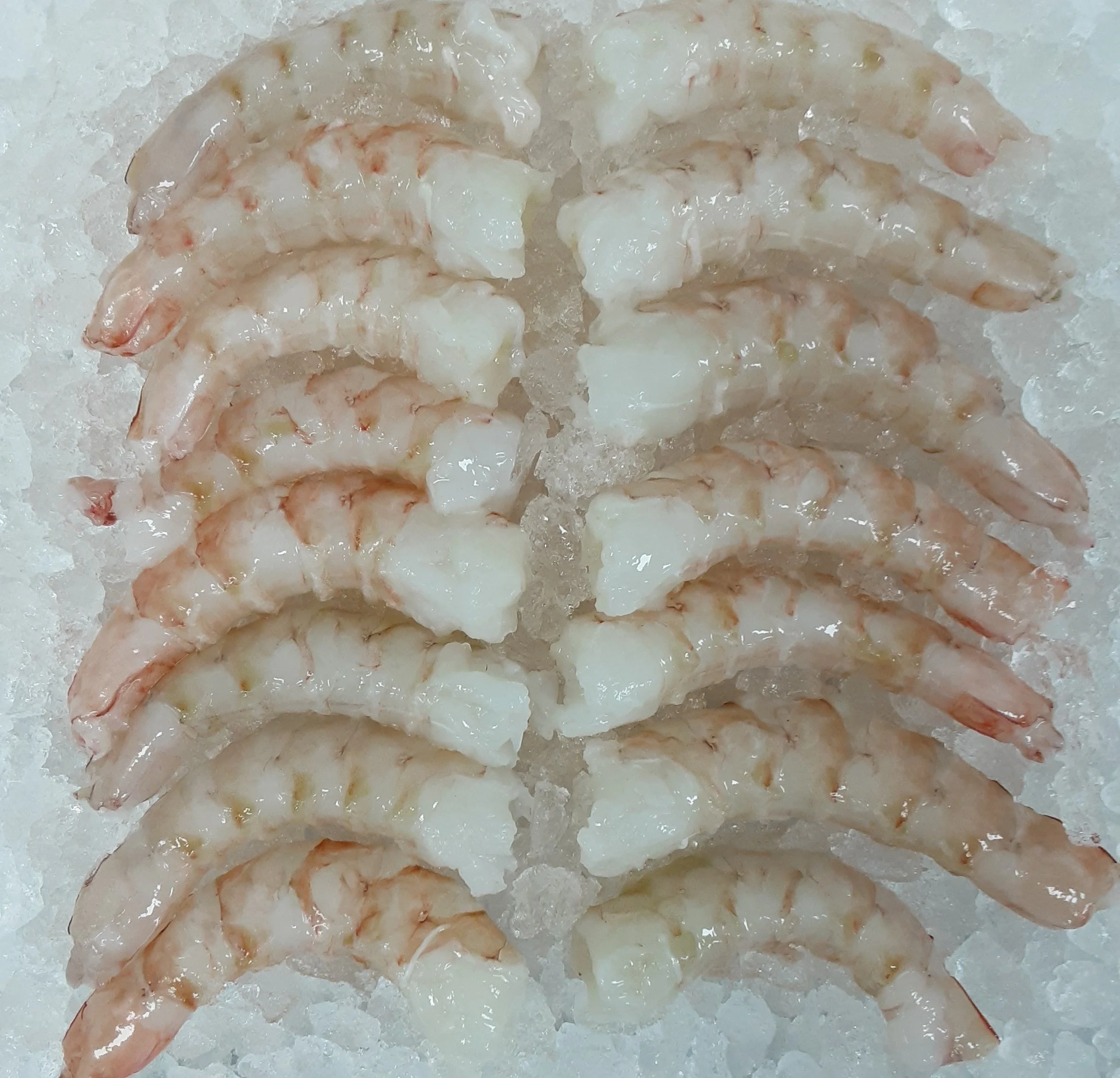 Large Raw King Prawn Meat - Shark Bay