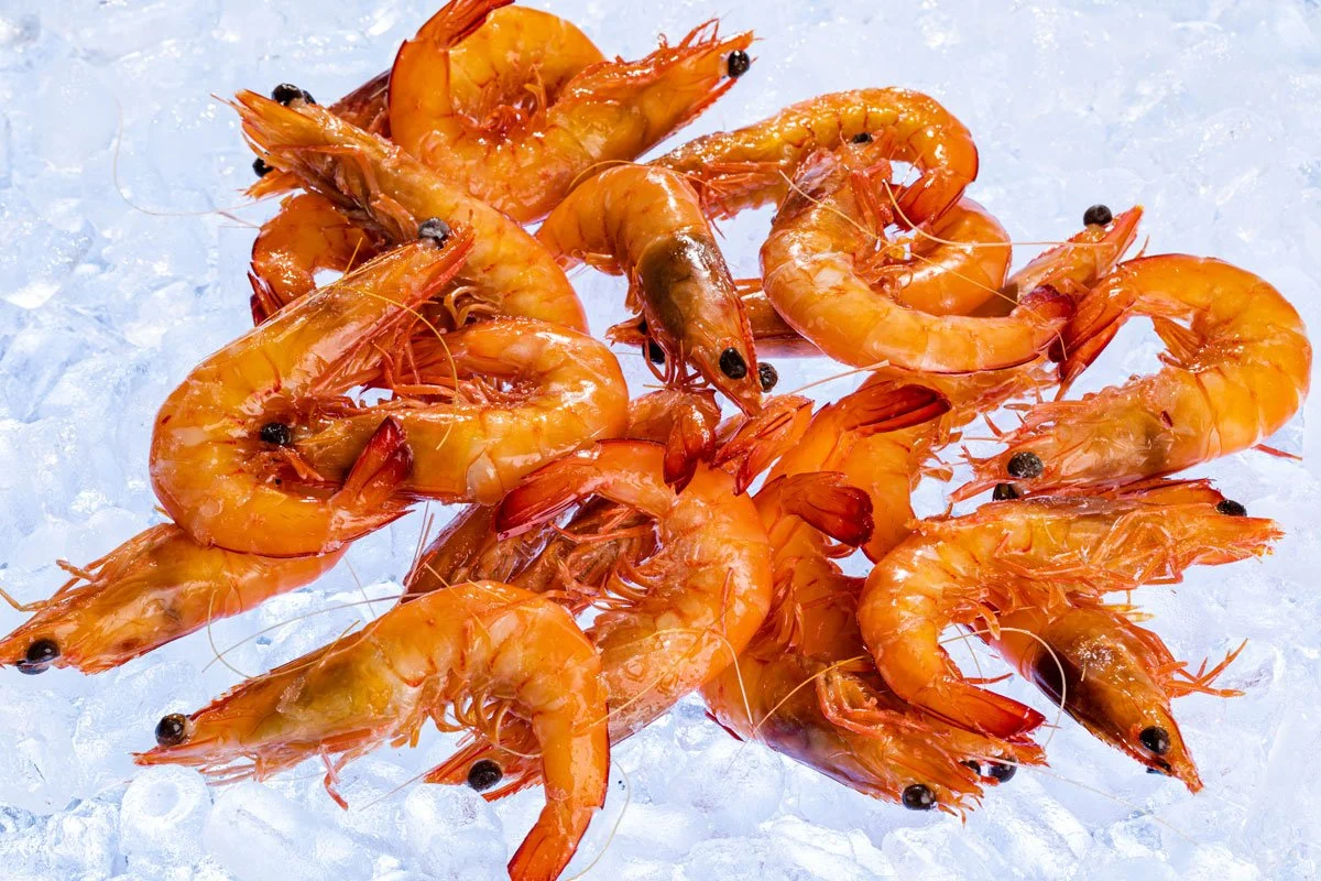 XL Whole Cooked King Prawns - Exmouth Wild