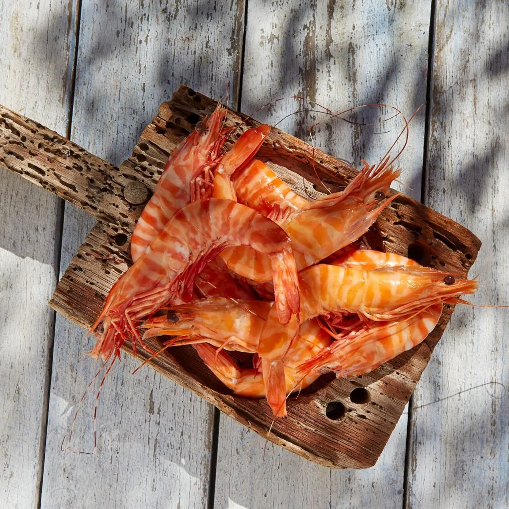 XL Whole Cooked Tiger Prawns - Exmouth Wild