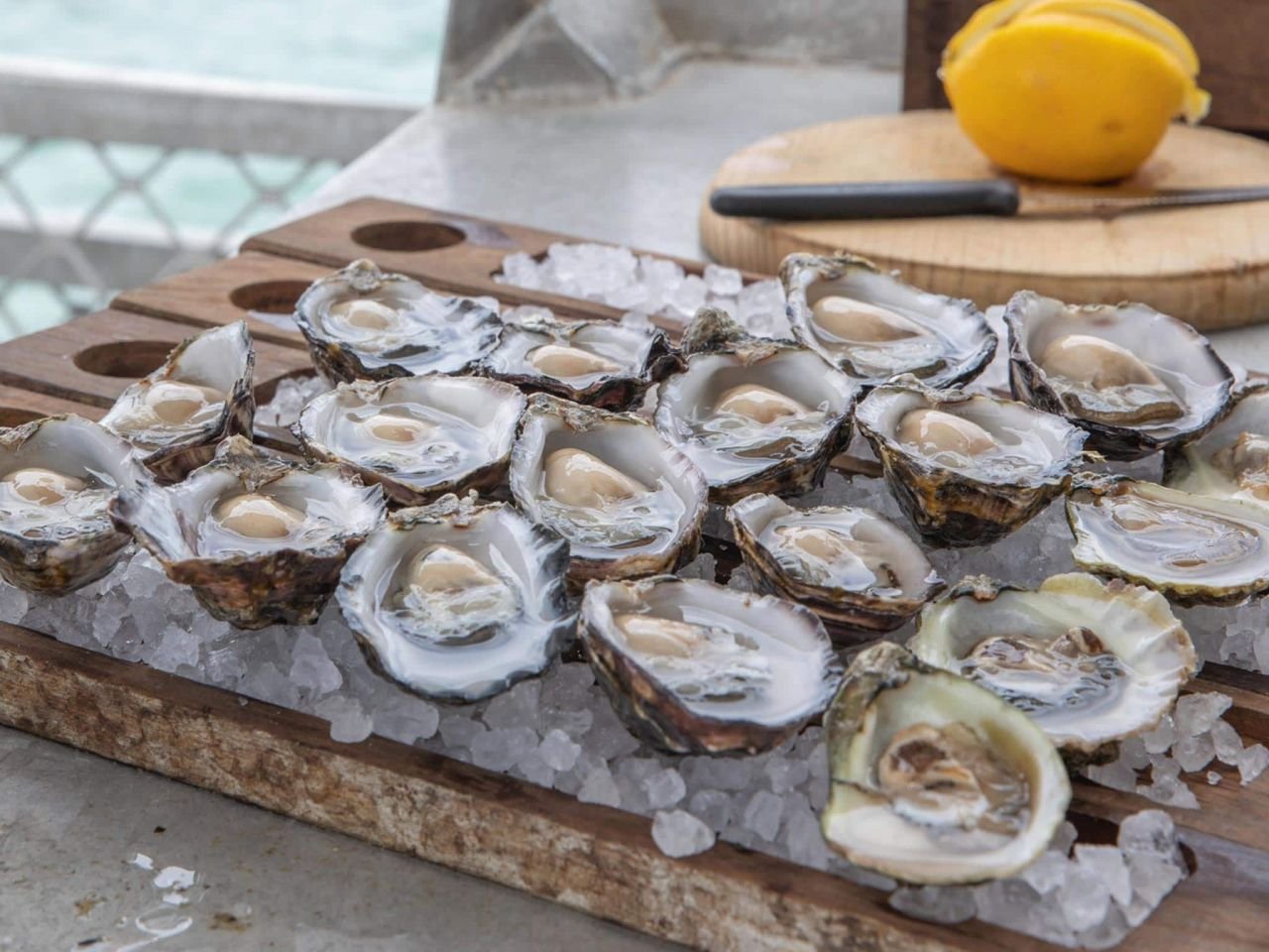 South Australian Half-Shell Oysters - Freshly Shucked - Coffin Bay