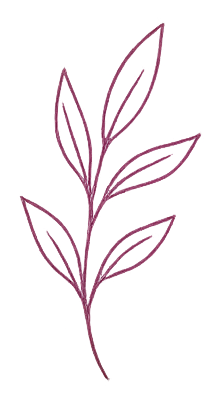 A simple line drawing of a plant with several elongated leaves, outlined in purple on a black background.