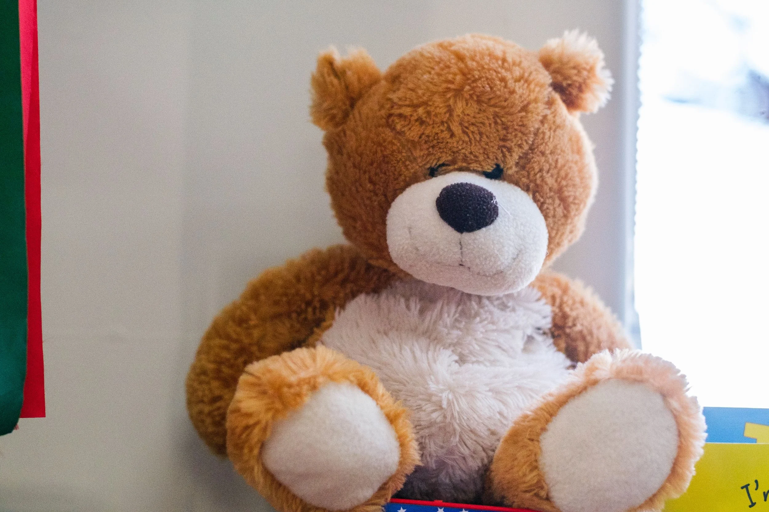 A brown teddy bear with a white belly and paws, sitting on a surface near a window.