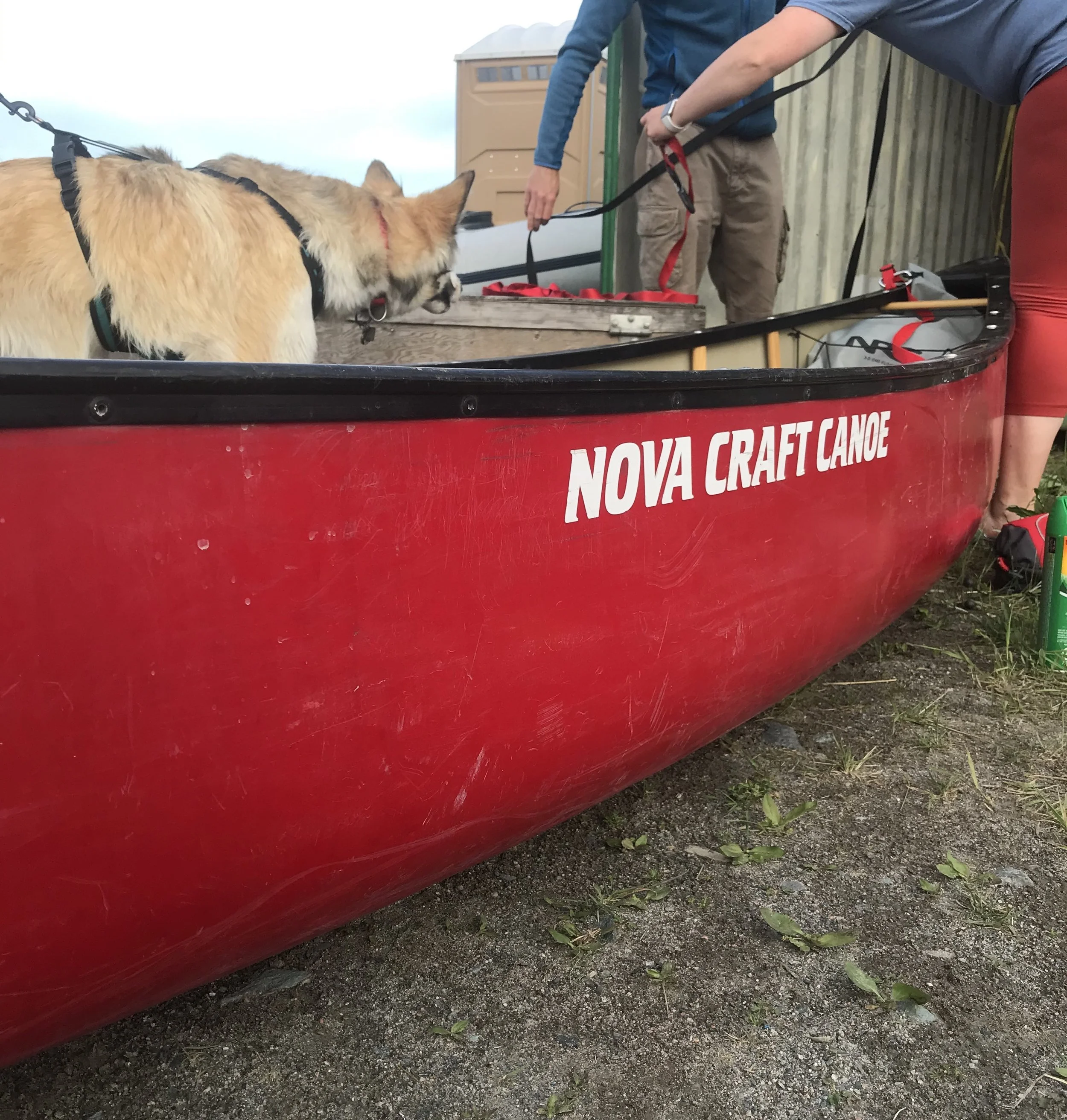 A red canoe labeled 'NOVA CRAFT CANOE' on the side, with two people and a dog standing next to it. The dog is a light-colored, fluffy breed with a harness, and the people are holding paddles.