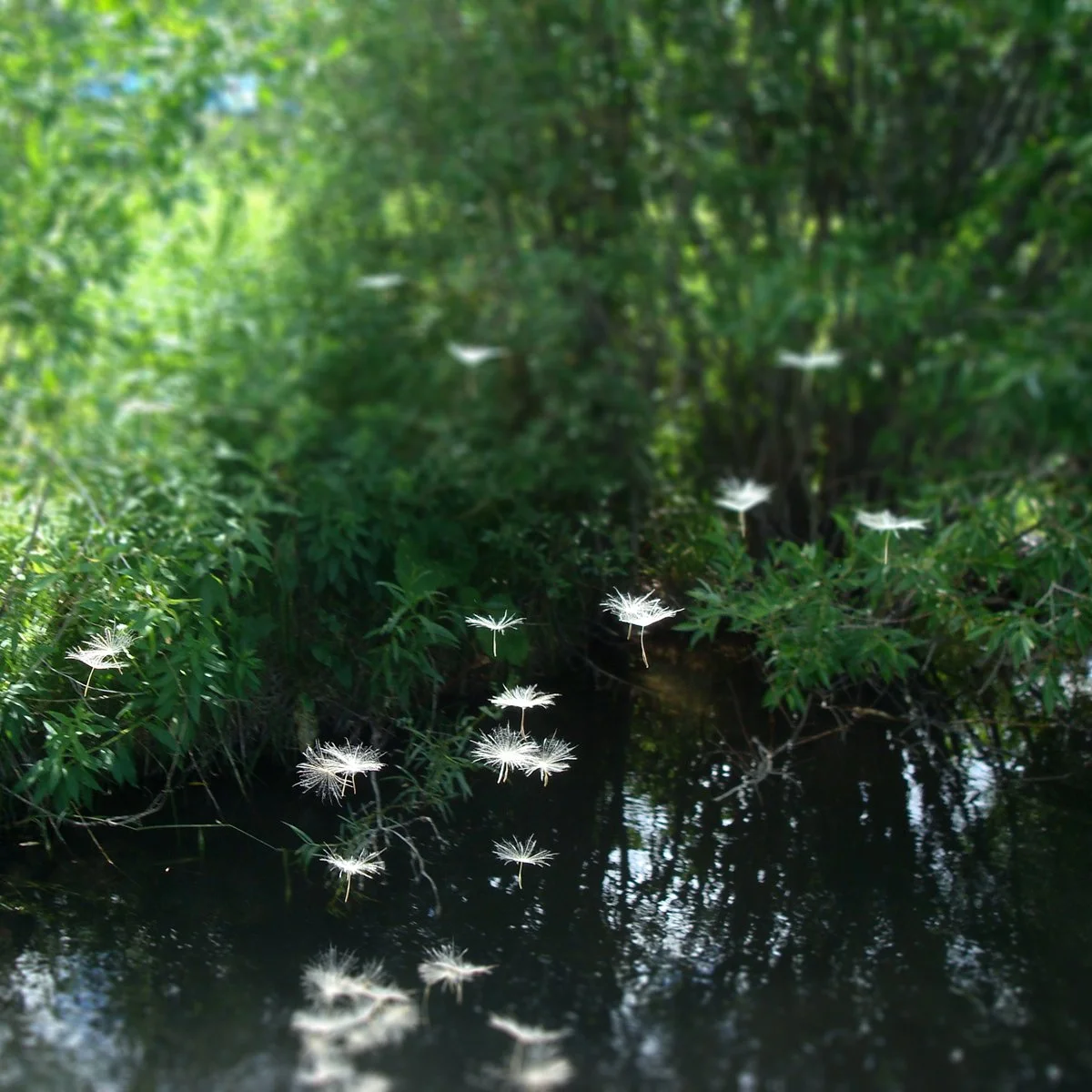 Lost in Translation &amp; Reverberation I