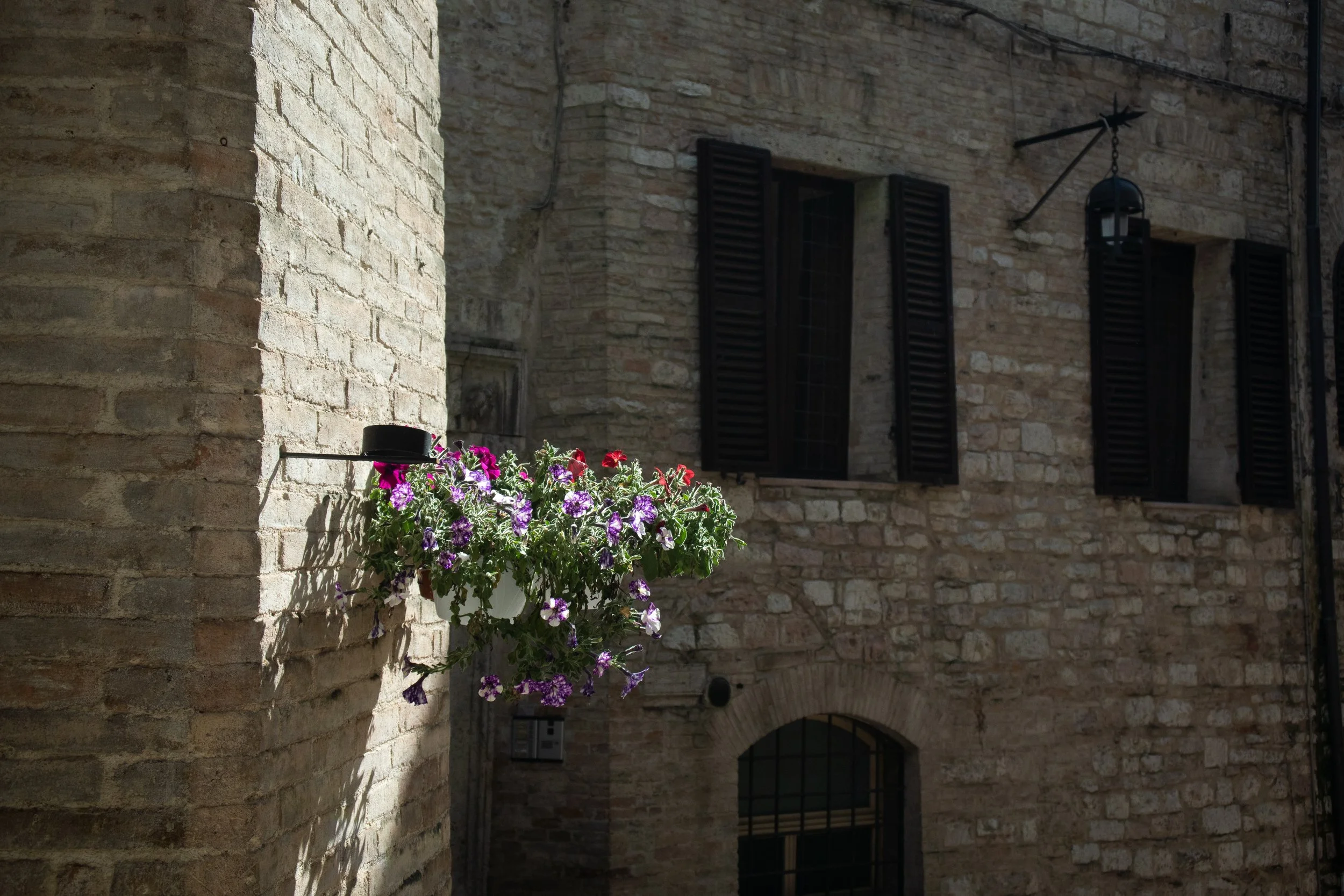 Newsletter: Vol. 1